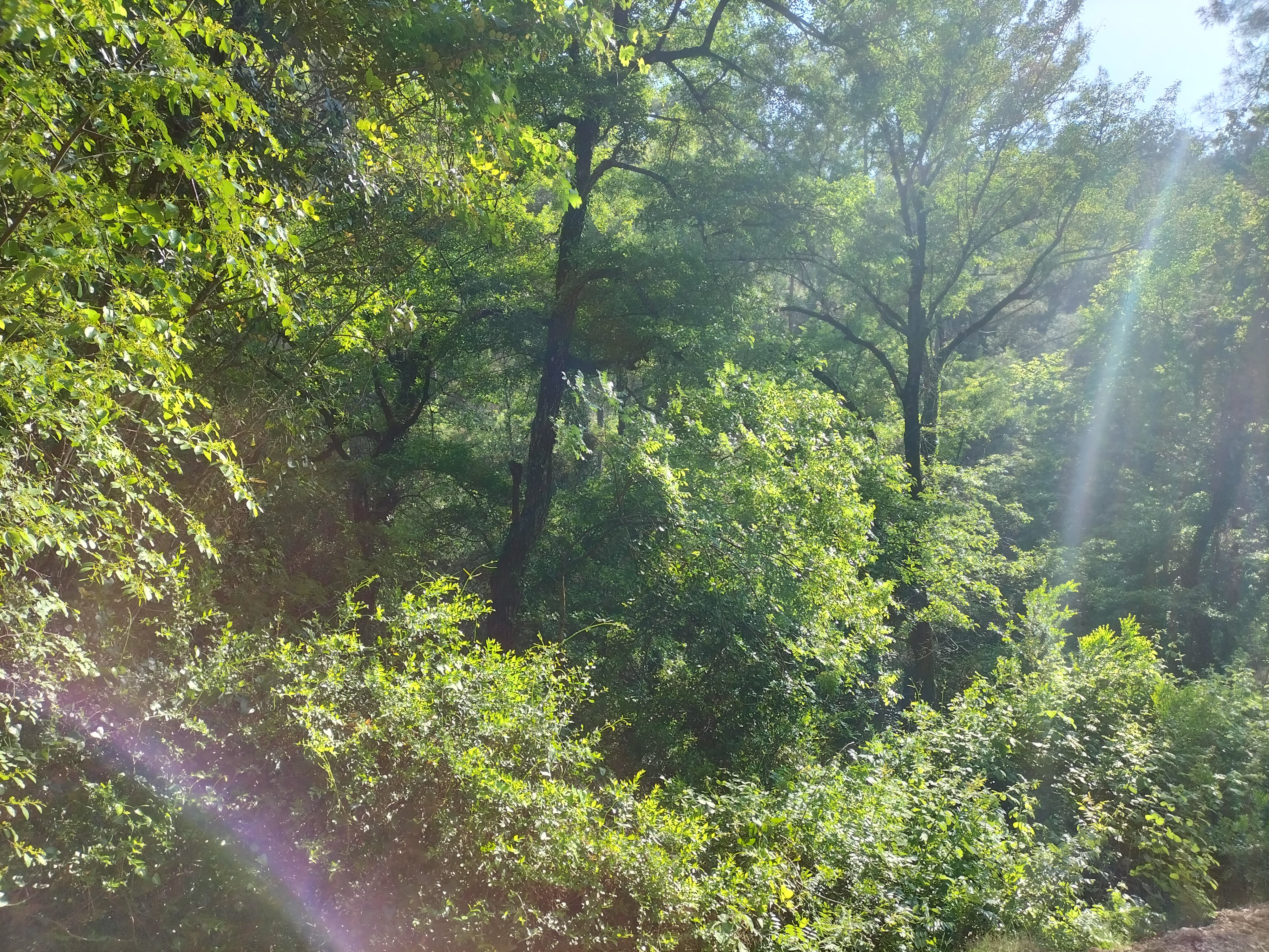 IMG20220520165234.jpg