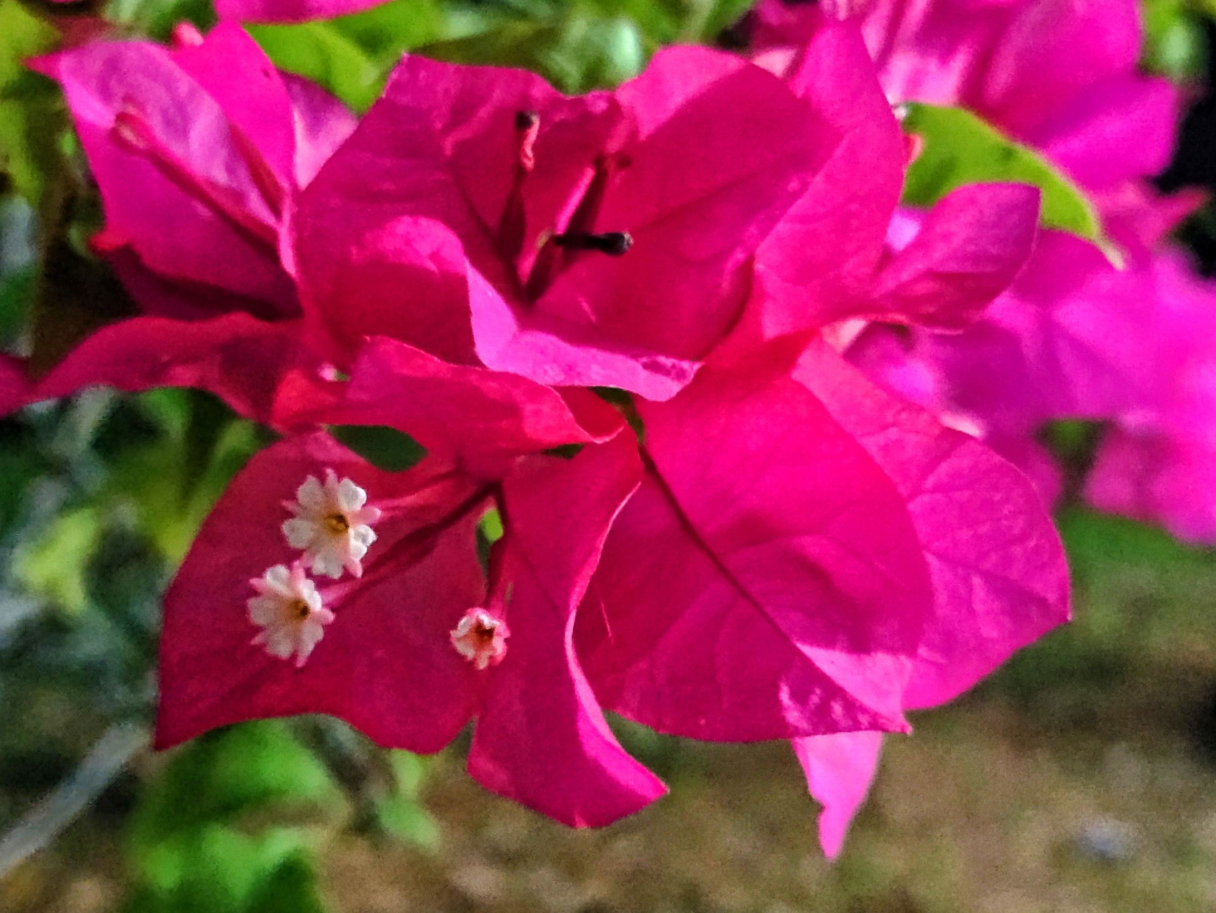 IMG_20210918_211216.jpg