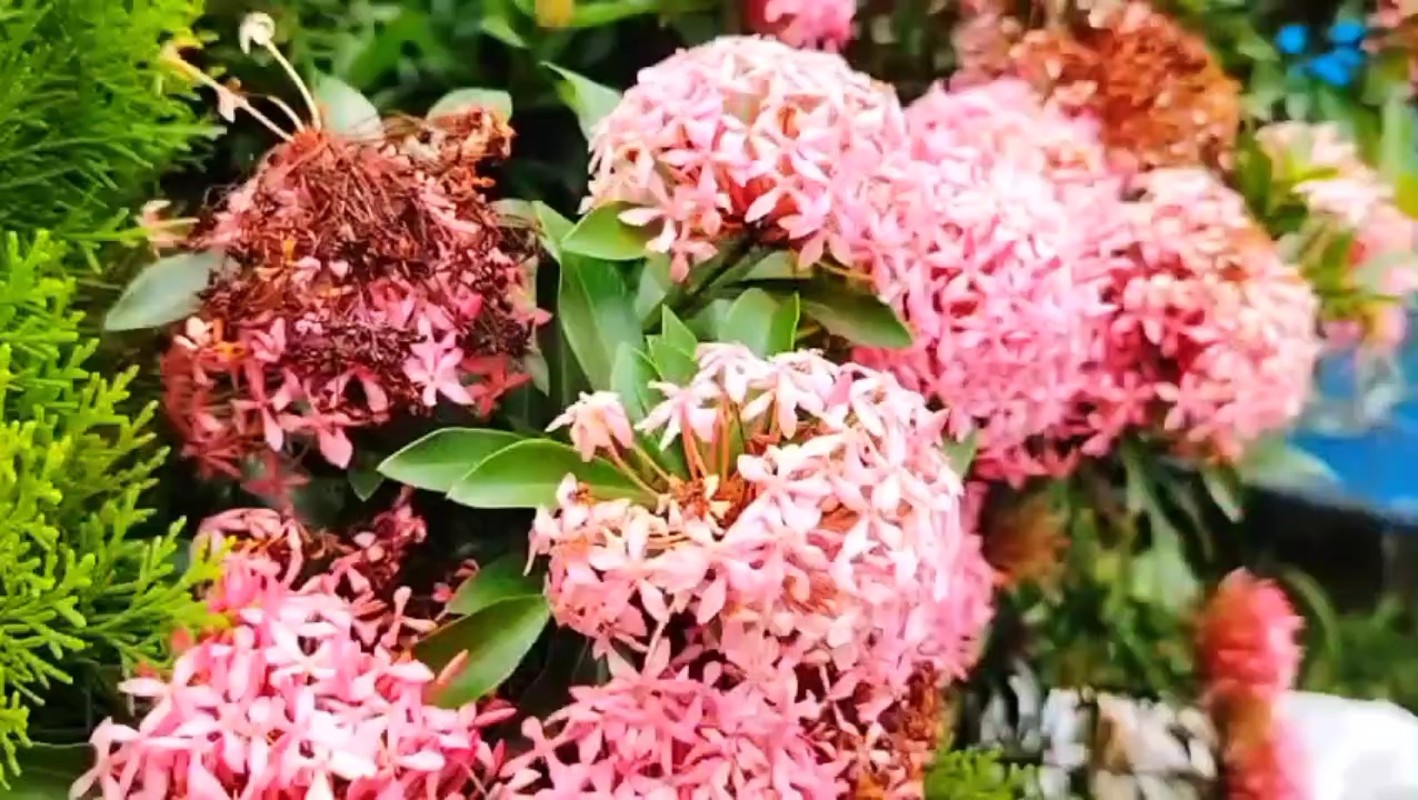 1000227694.jpg