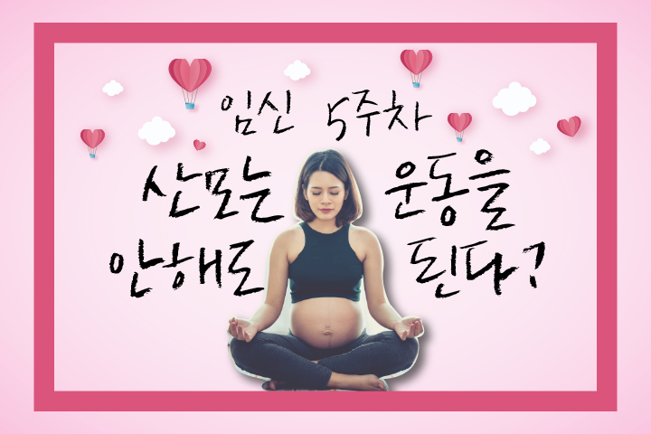 임신 5주 산모의 운동 (8).png