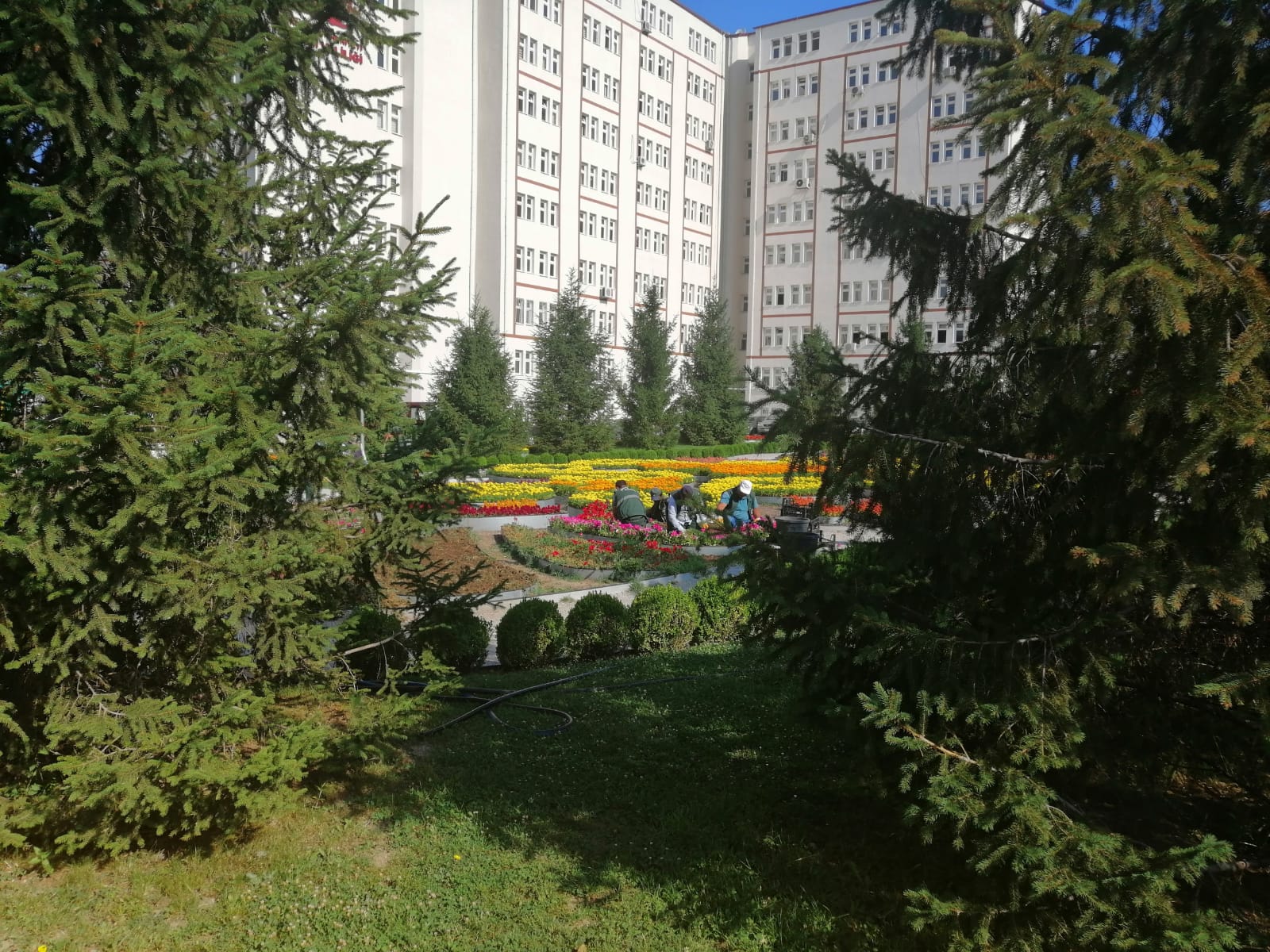 IMG-20210830-WA0021.jpg