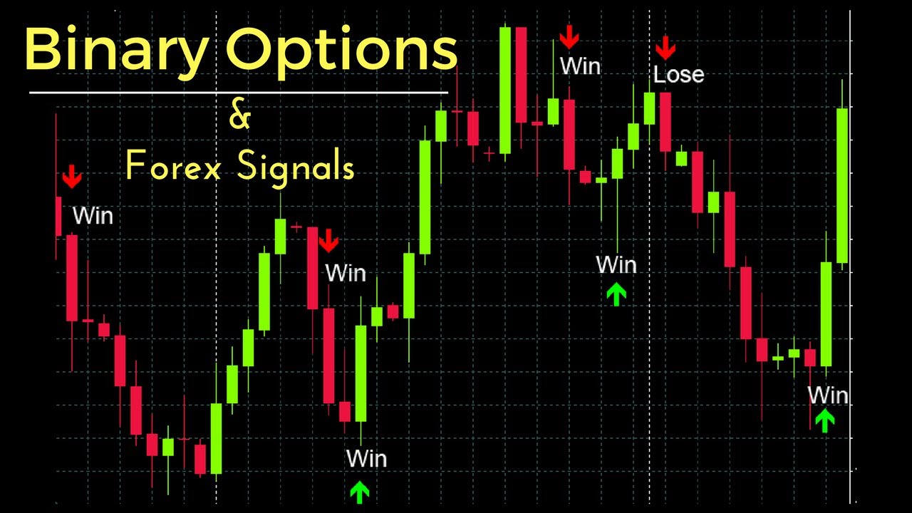 binary options without