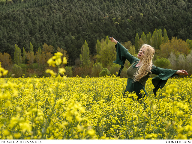 rapeseedfield.jpg