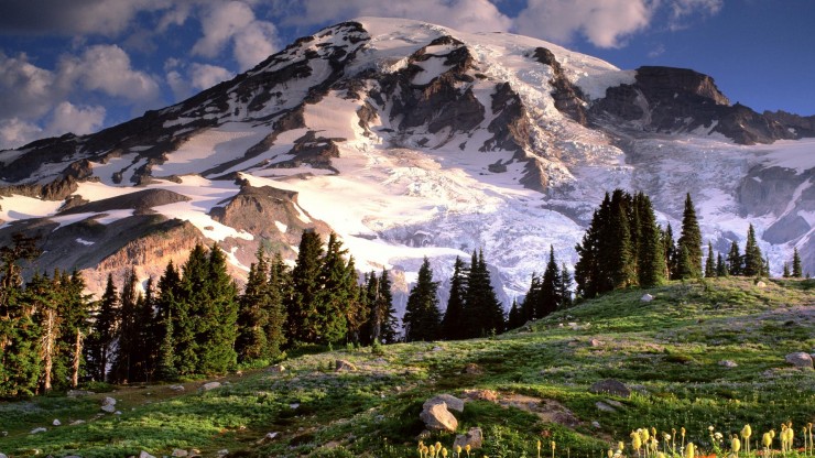Wonderland-740x416.jpg