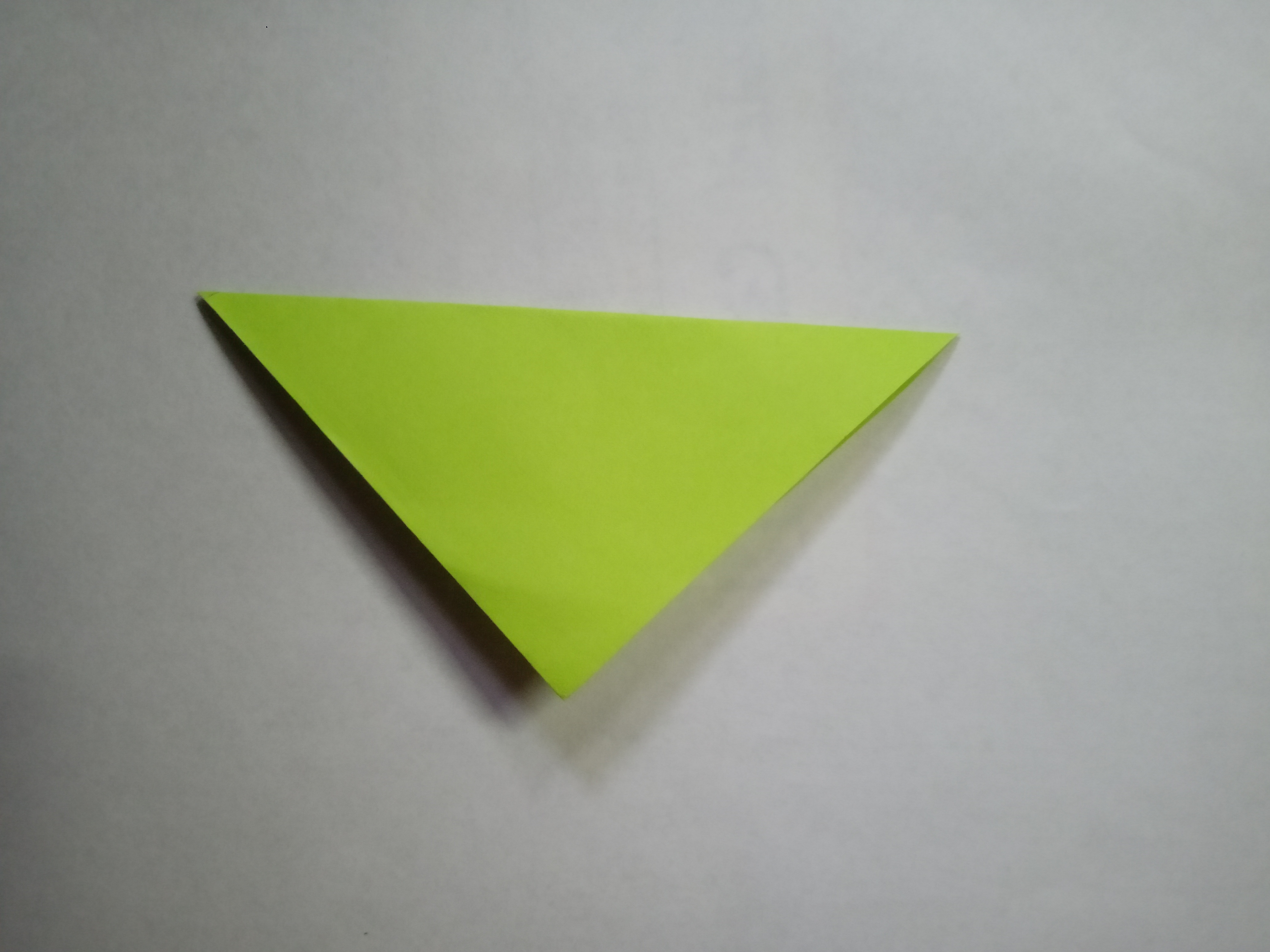 IMG20211028170134.jpg