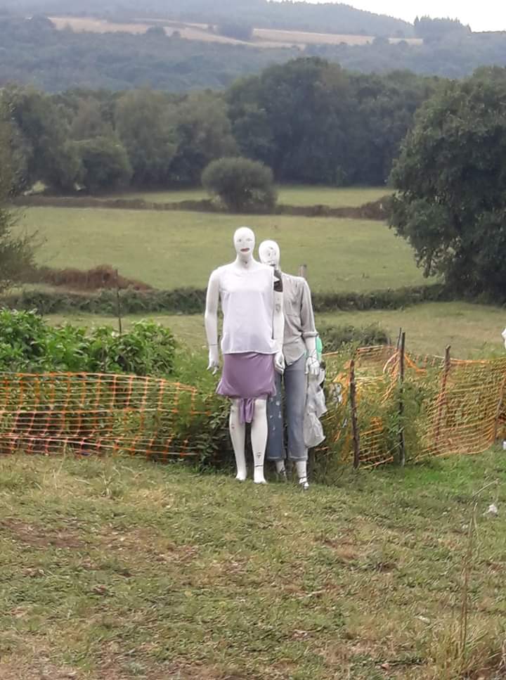 IMG-20191101-WA0003.jpg