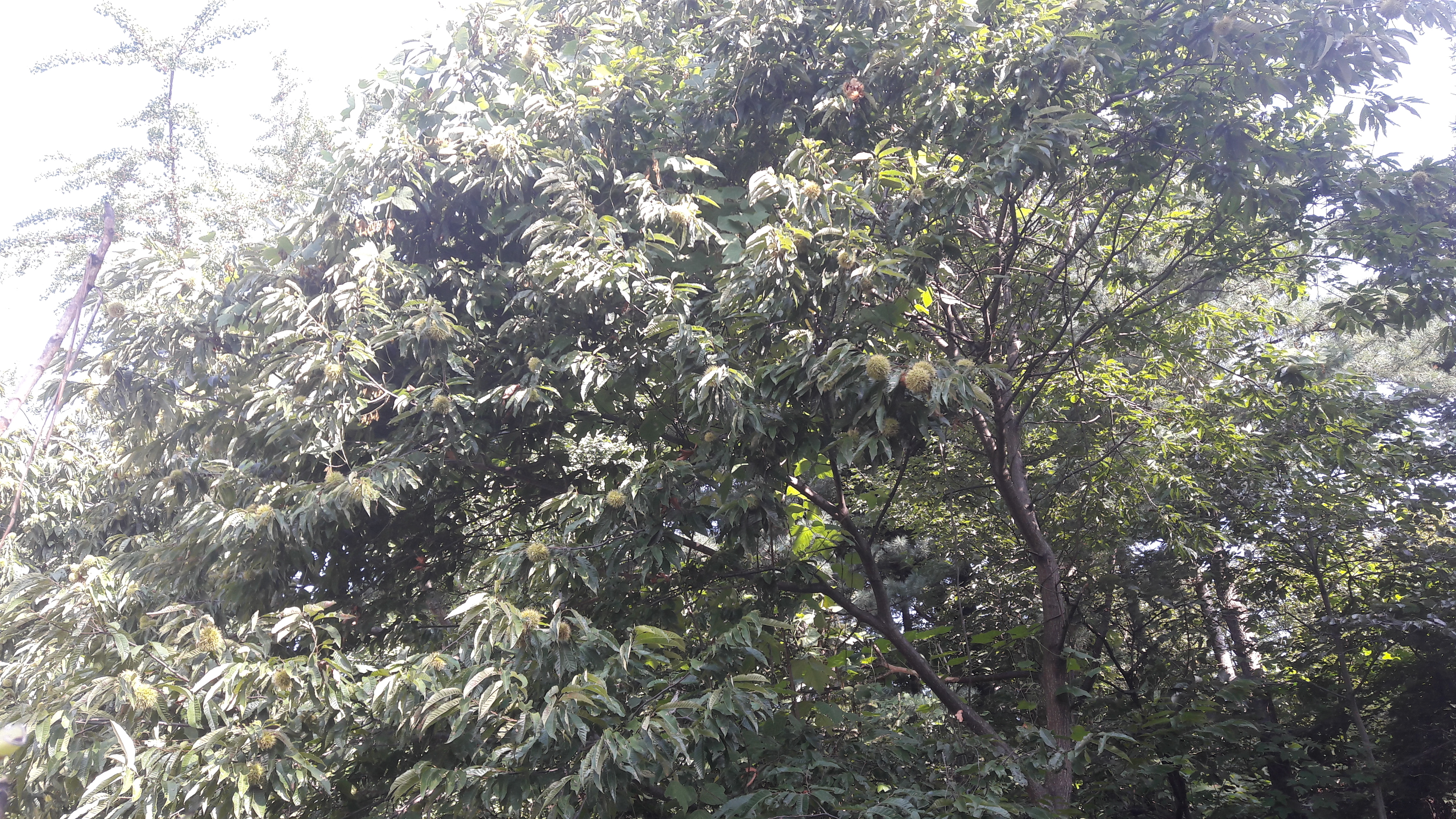 20180922_092435.jpg
