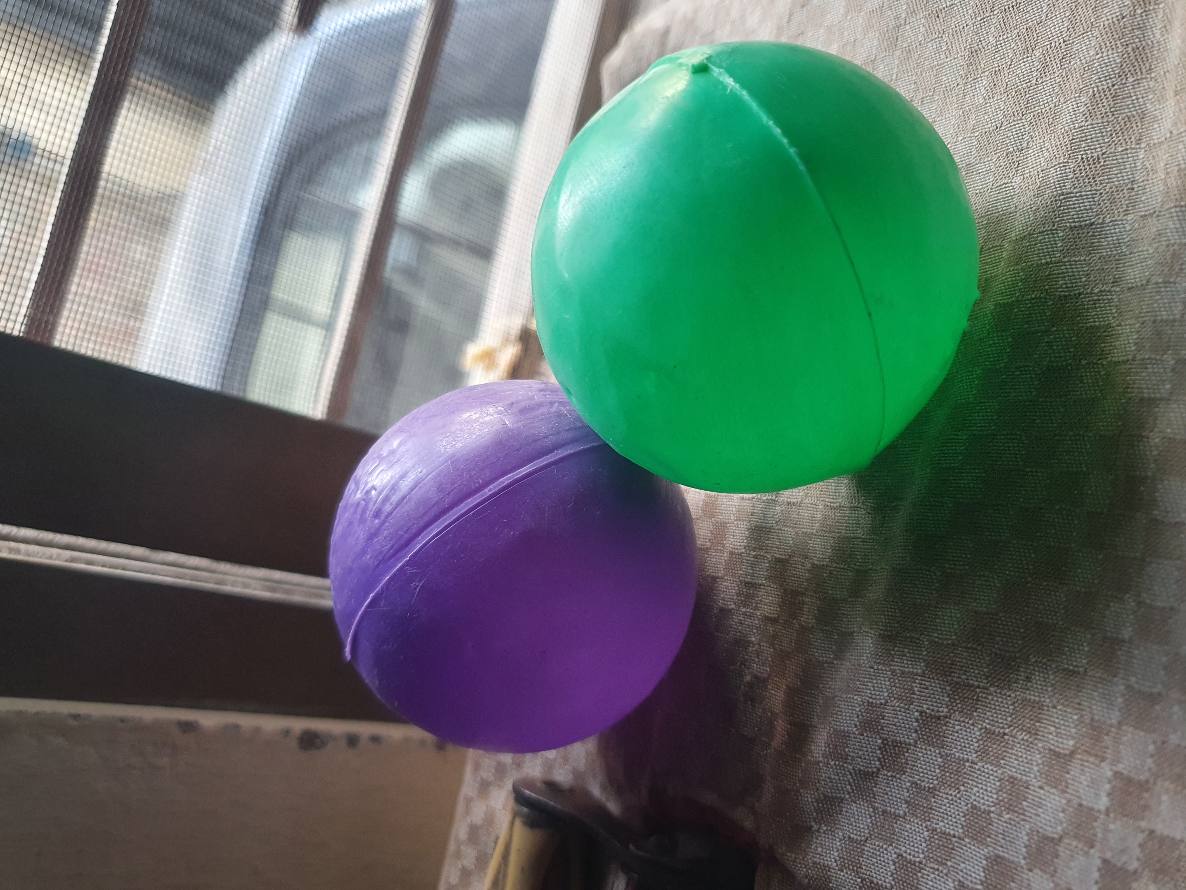 20250314_074141.jpg