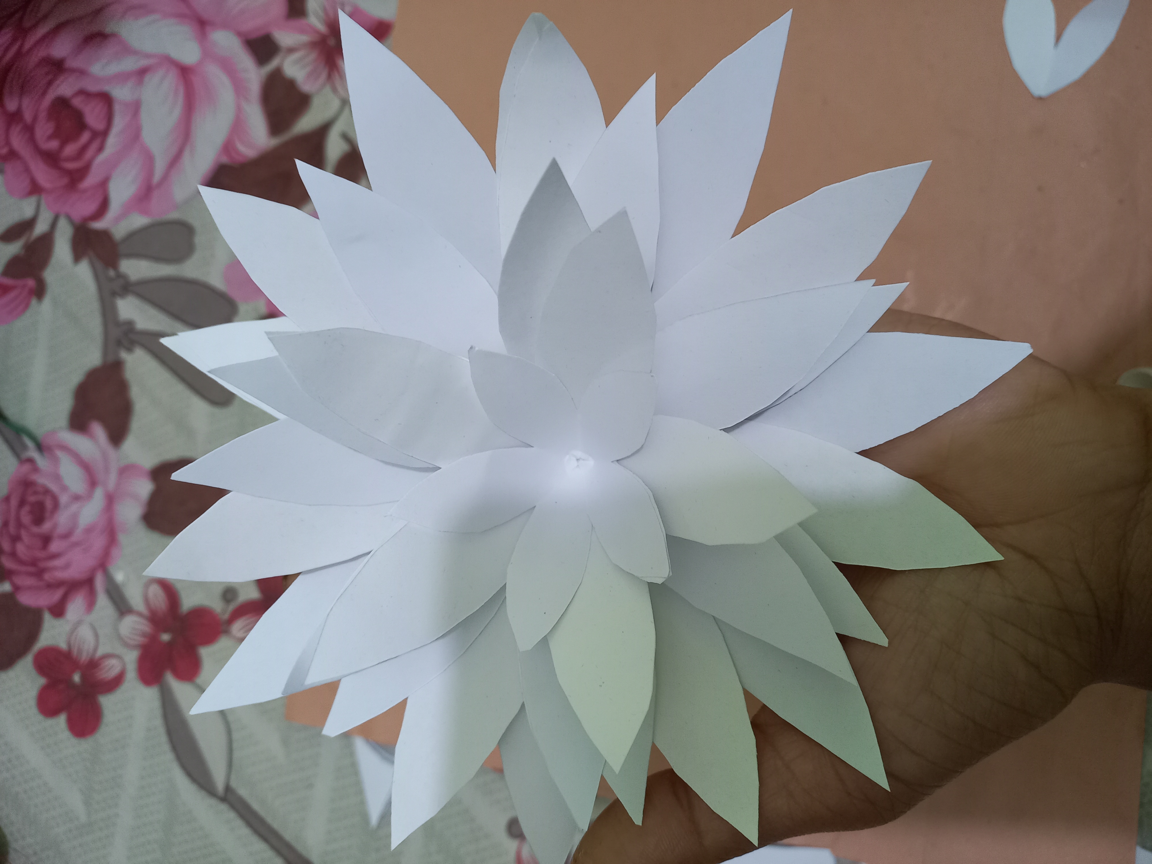 20220126_121154.jpg
