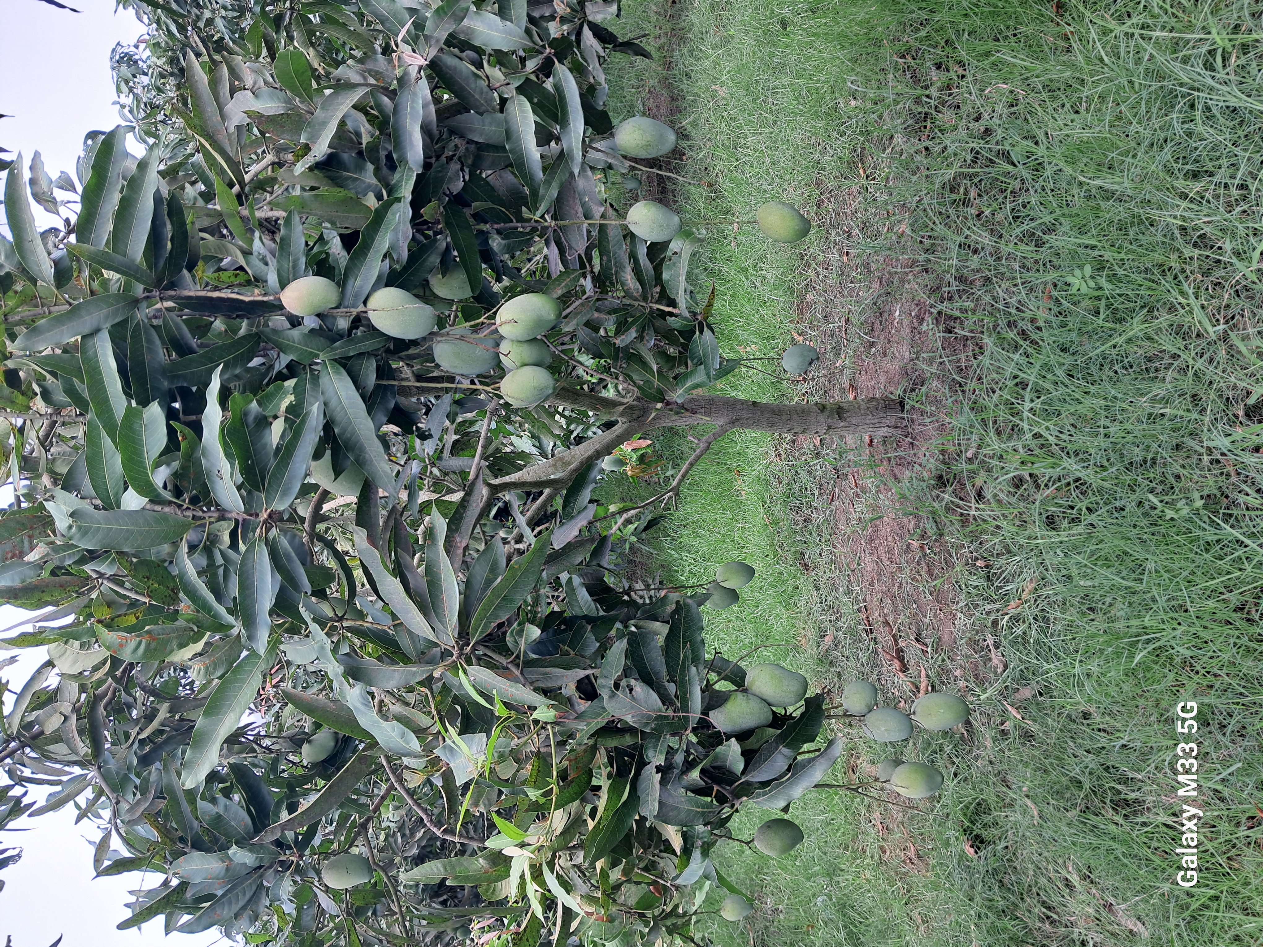 20240618_115713.jpg