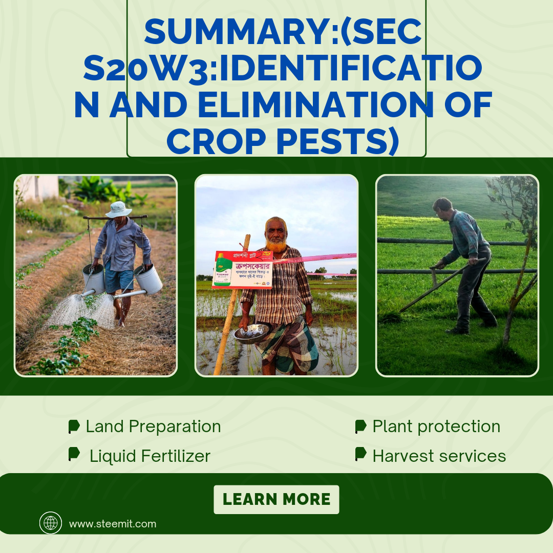 Yellow and Green Organic Agriculture Business Promo Instagram Post_20240929_101528_0000.png