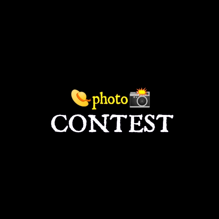 PhotoGridLite_1575895464923.jpg