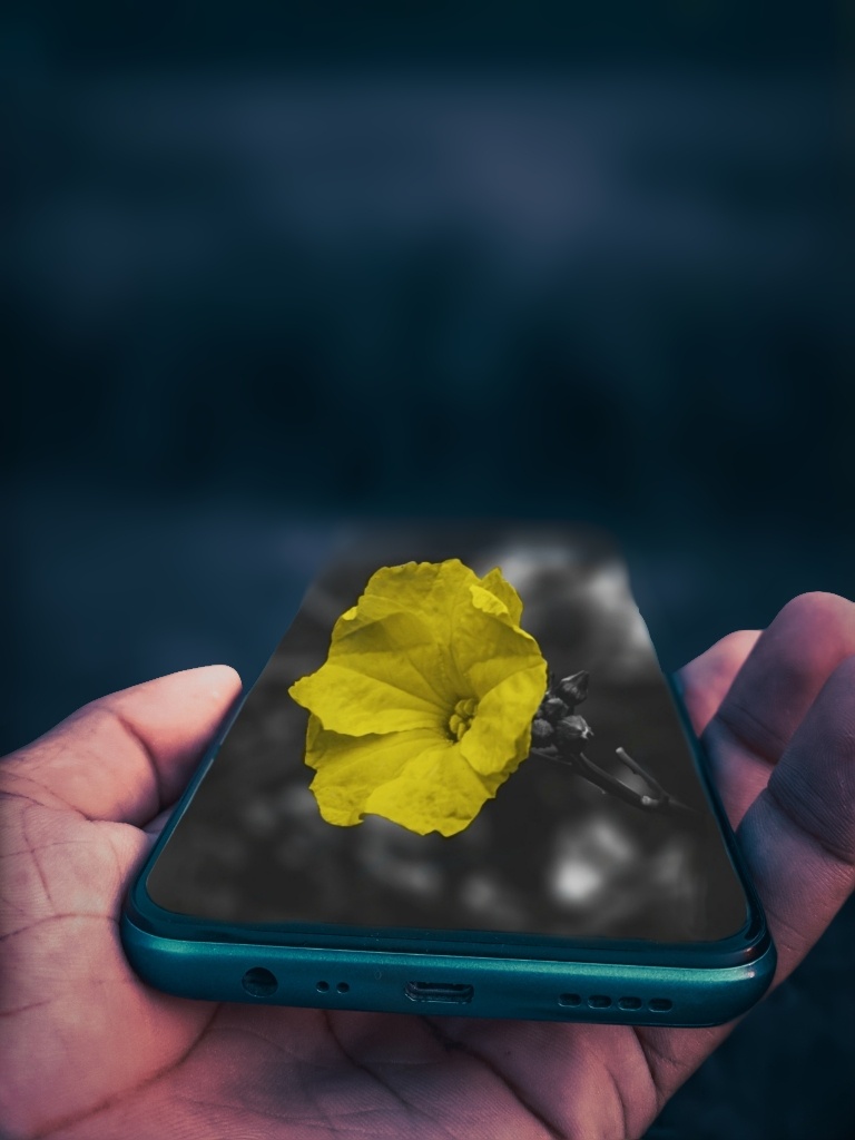 afterfocus_1618234921868-01.jpeg