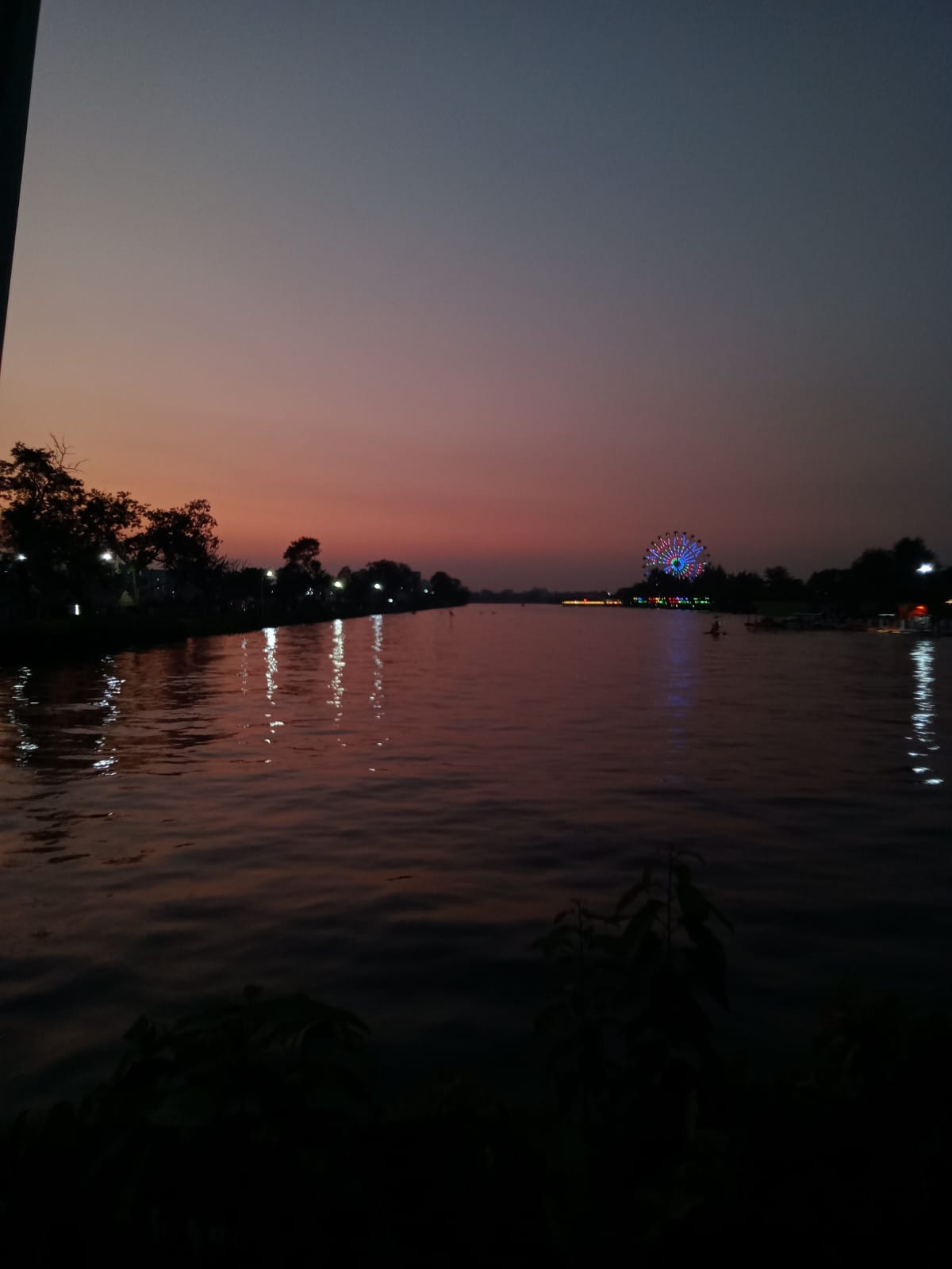 IMG_20260918_161068.jpg