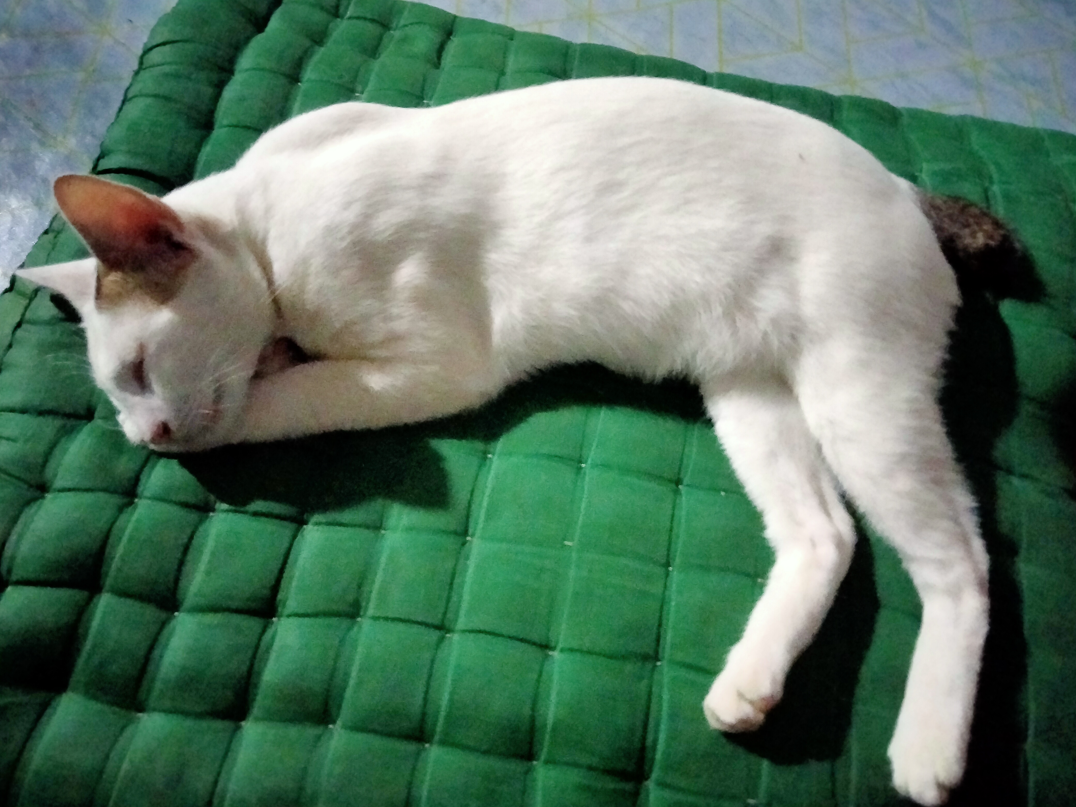 IMG20260509225636.jpg