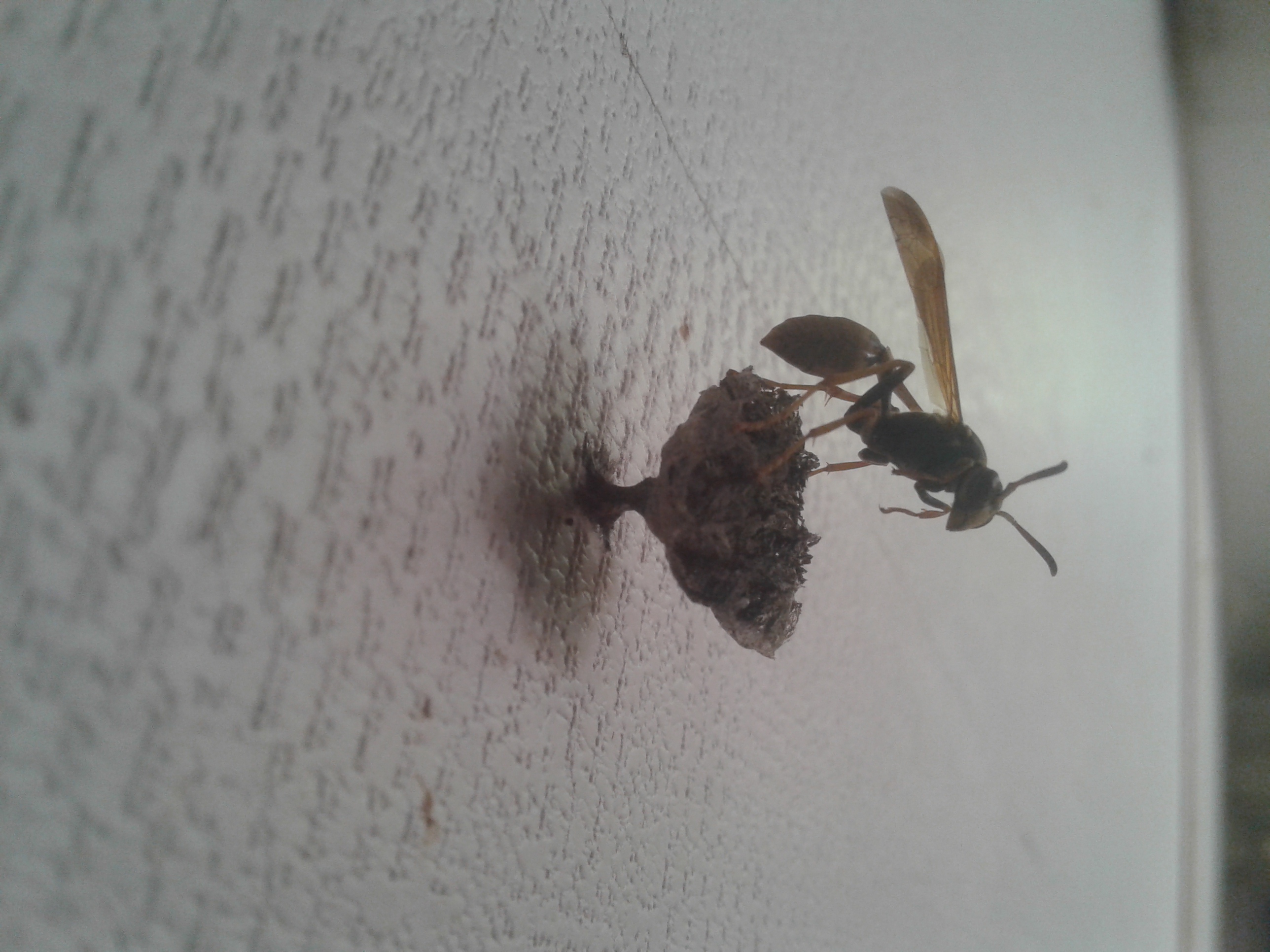 20190504_141413.jpg