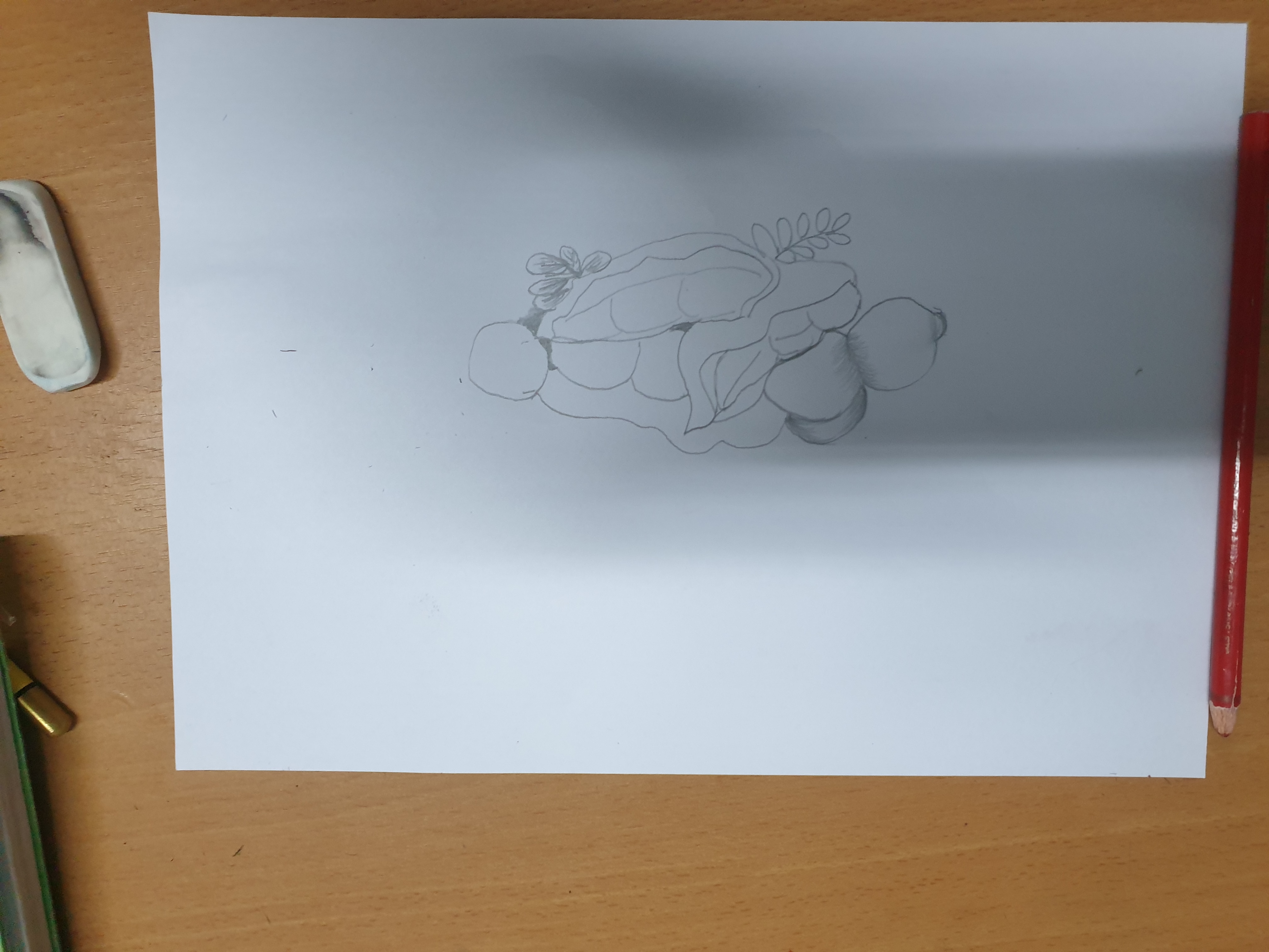 20240828_235113.jpg