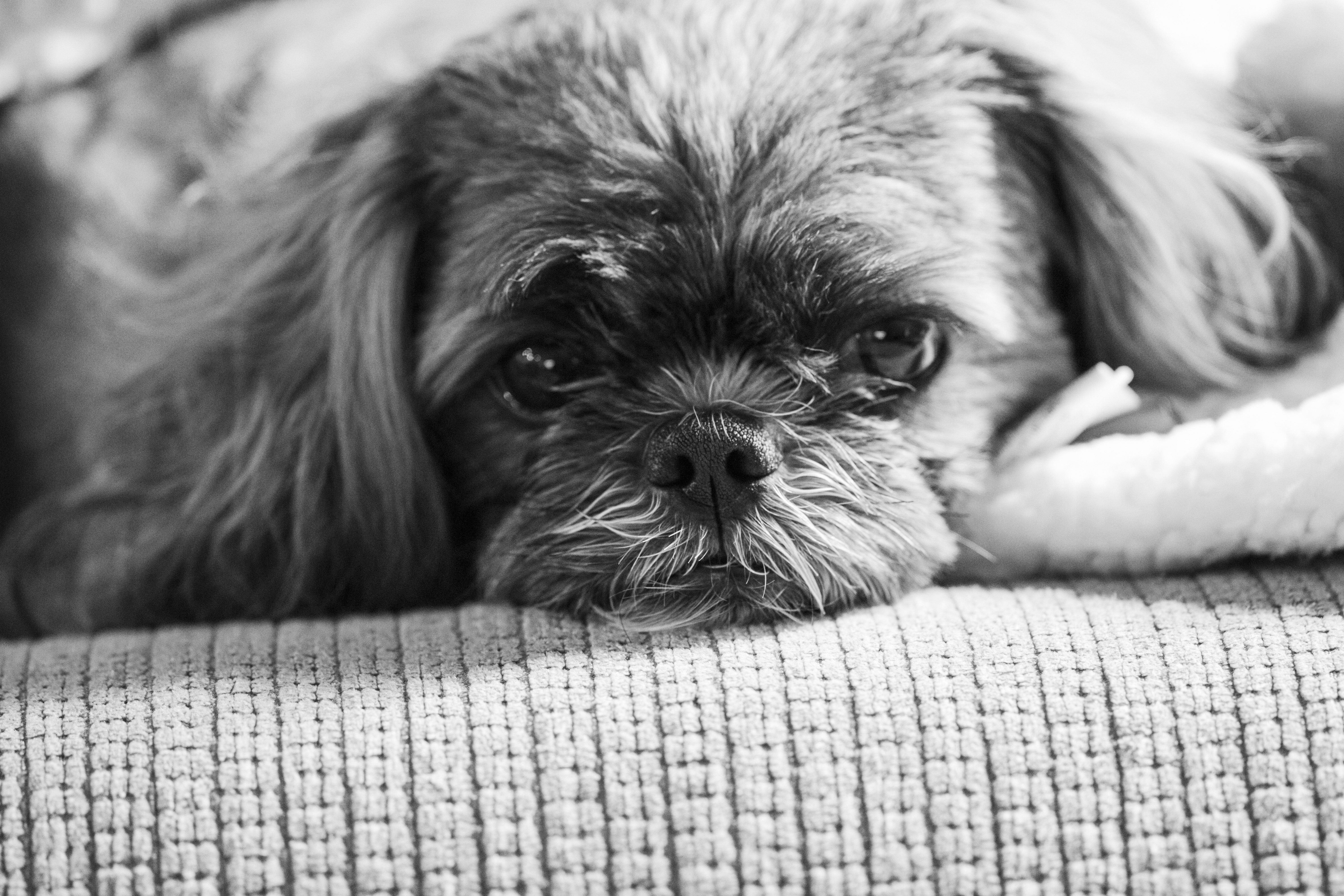 ruthie%201%20bnw.JPG