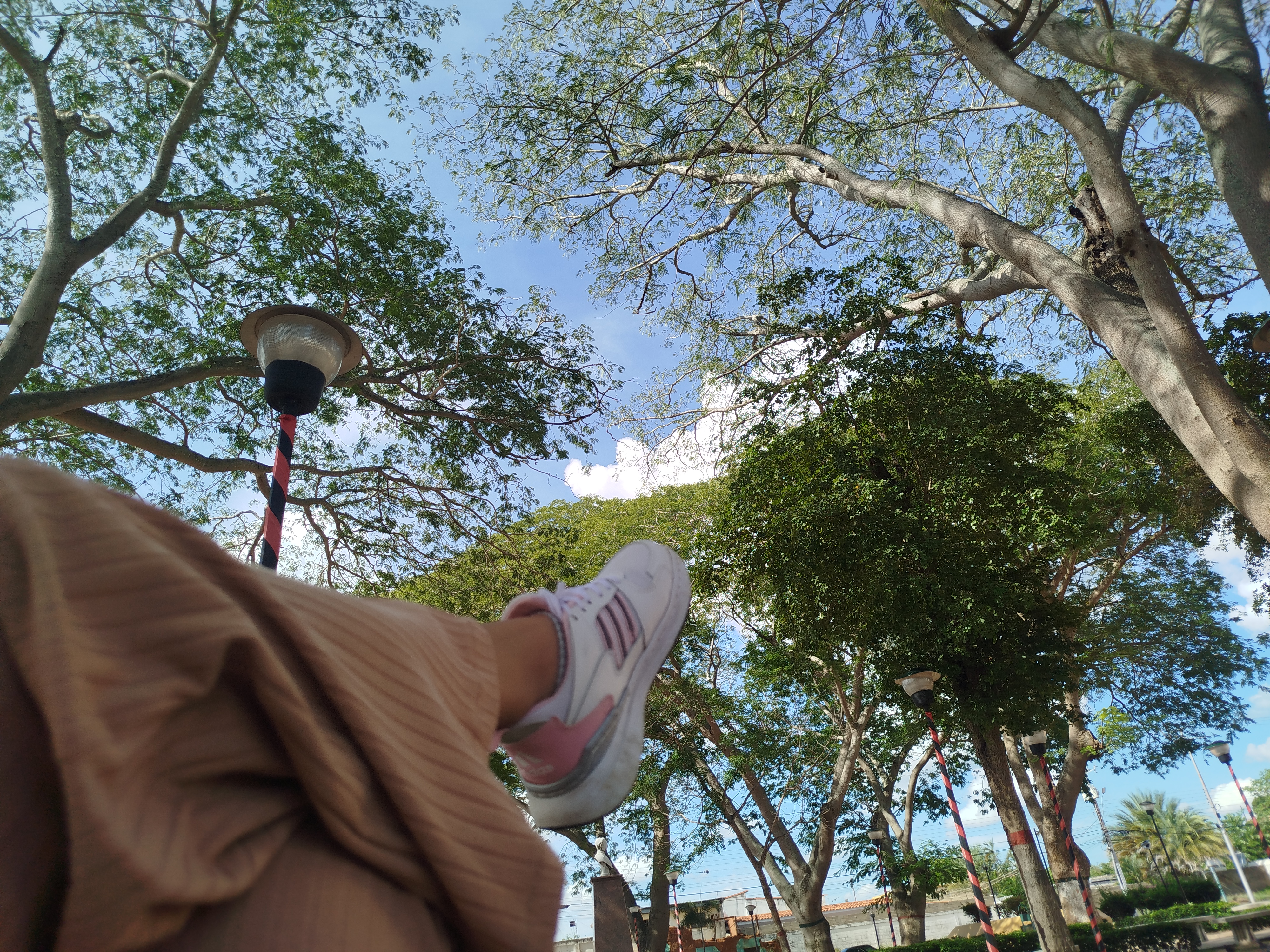 1000839417.jpg