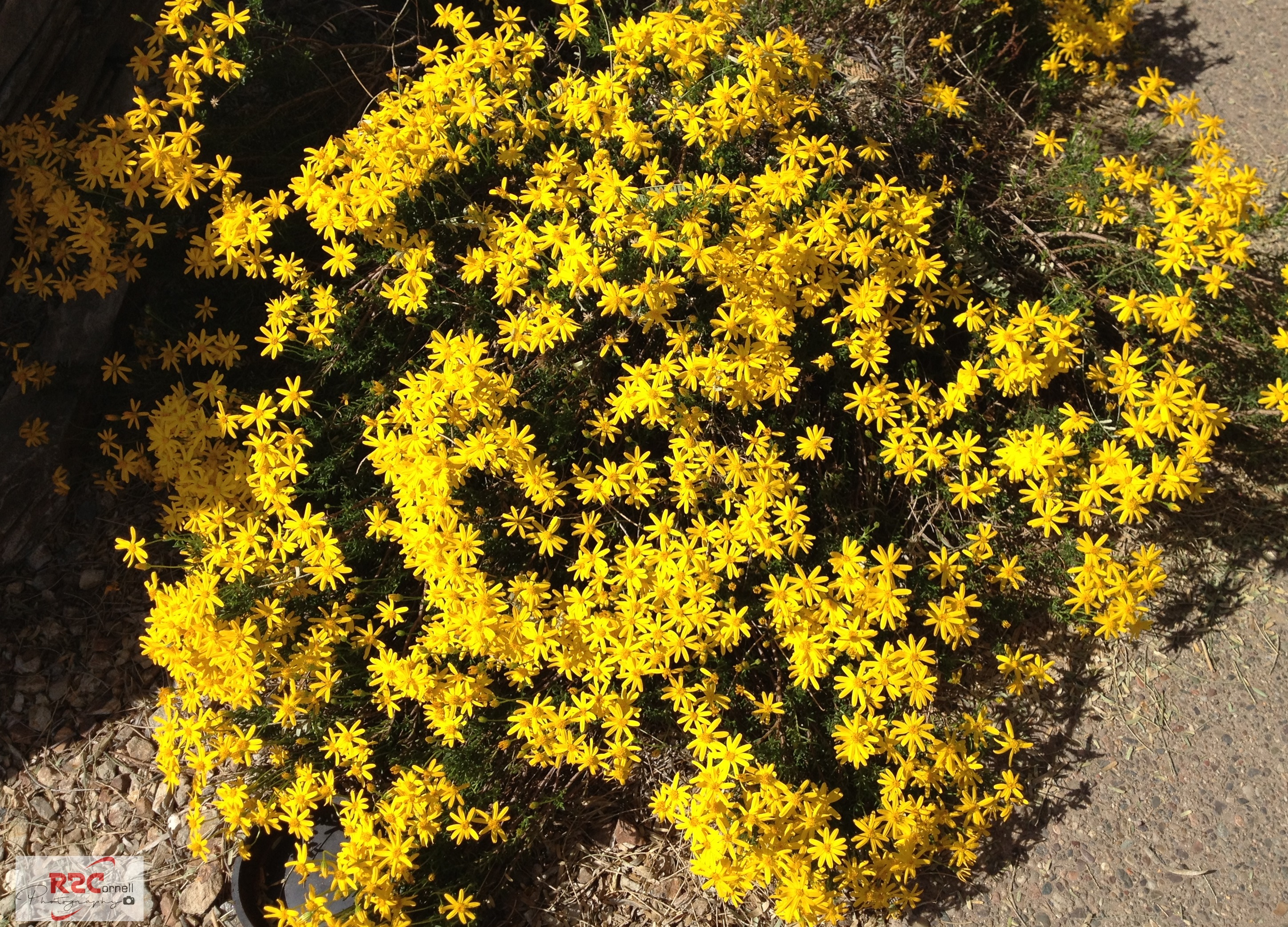 2013-03-23 14.47.27-S.jpg