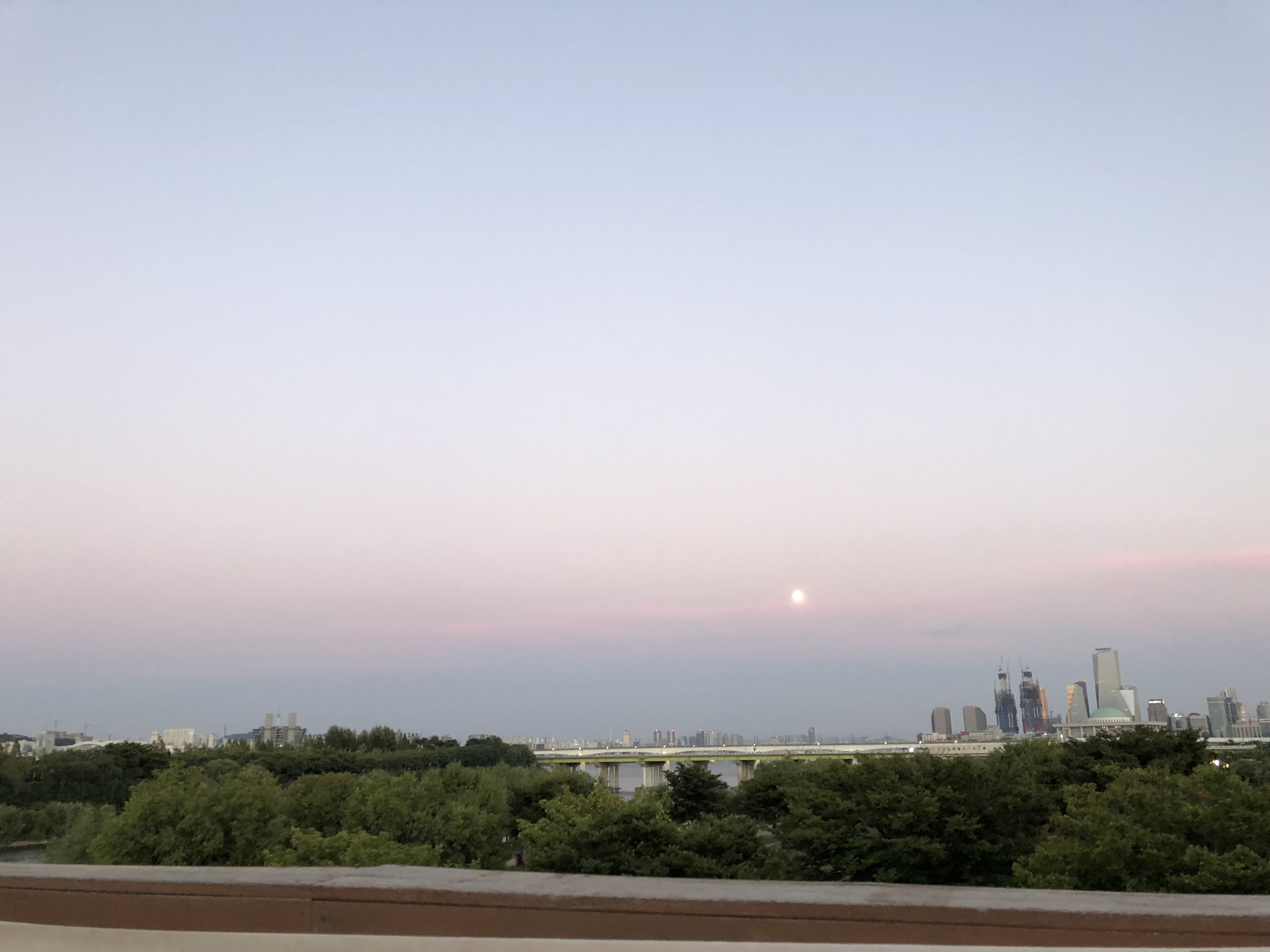IMG_4409.jpeg