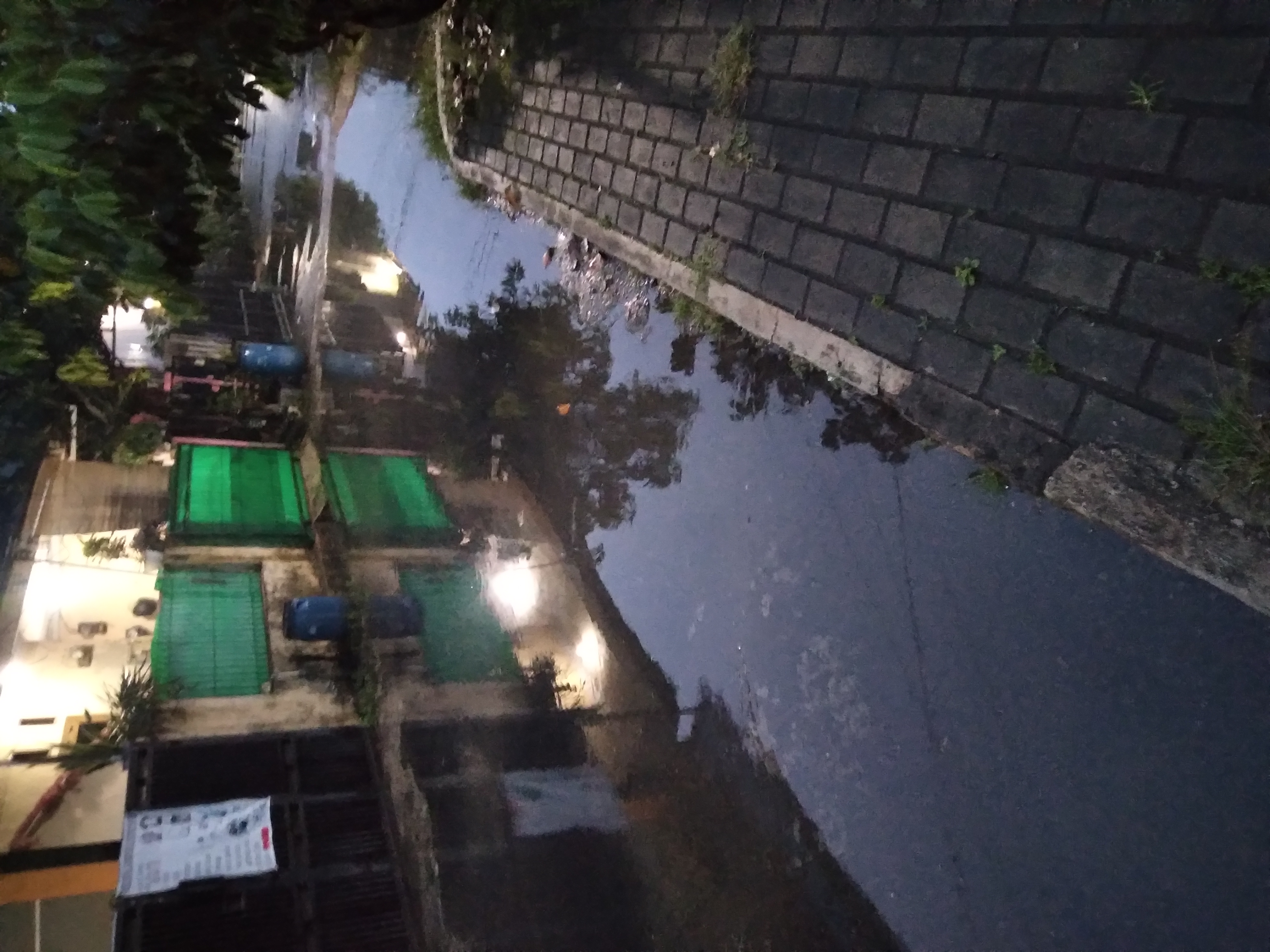 20250304_054845.jpg
