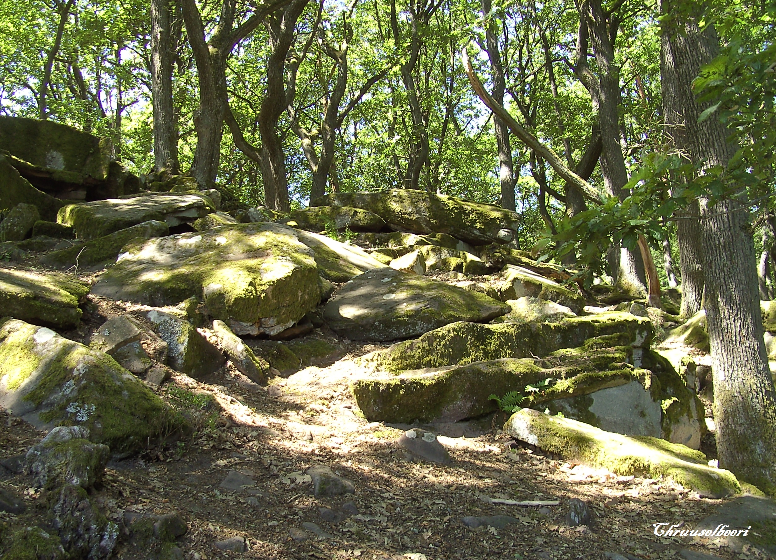 Wanderung_03.jpg