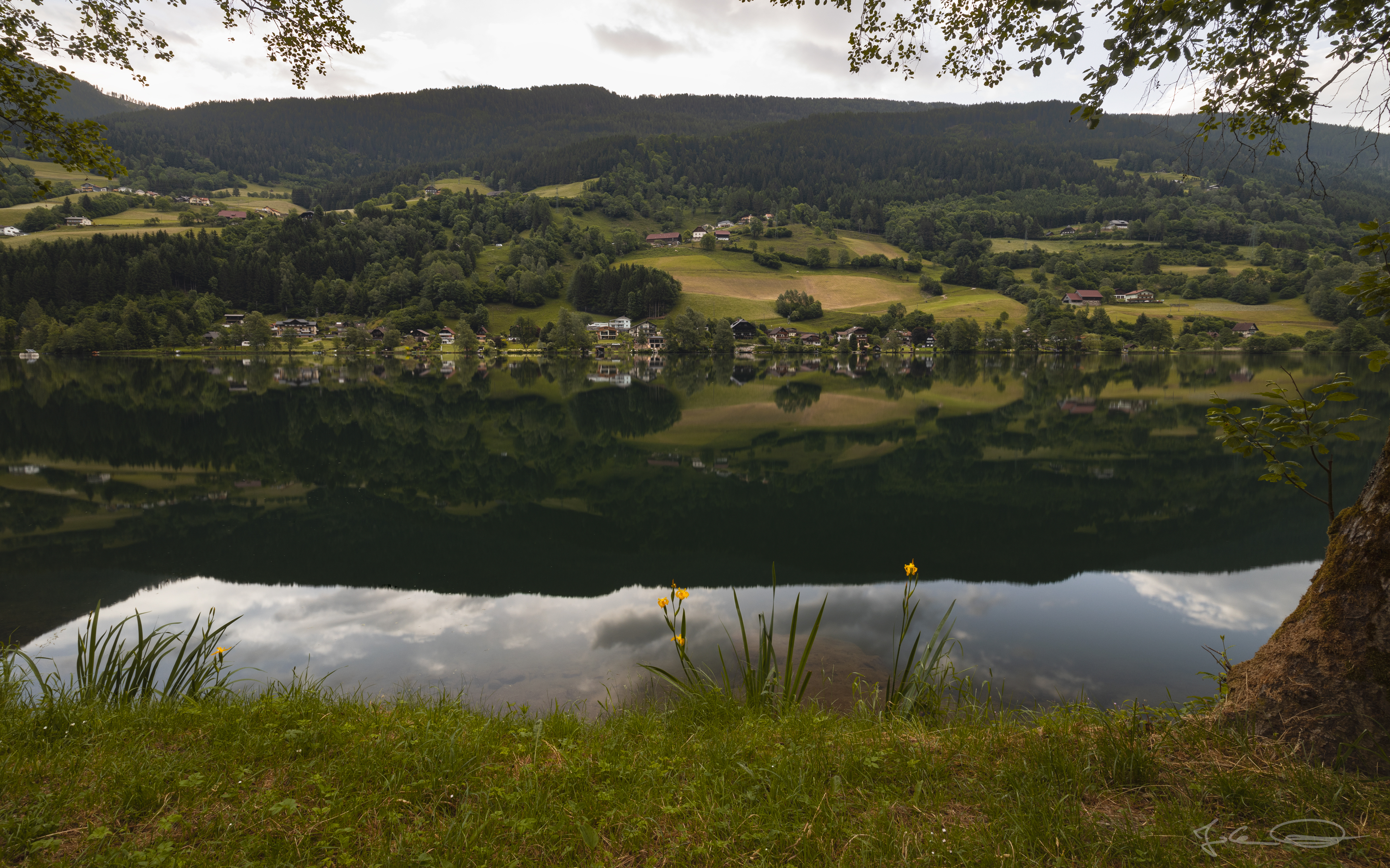 Water Reflection Wasserspiegelung Brennsee Feldsee Steemit