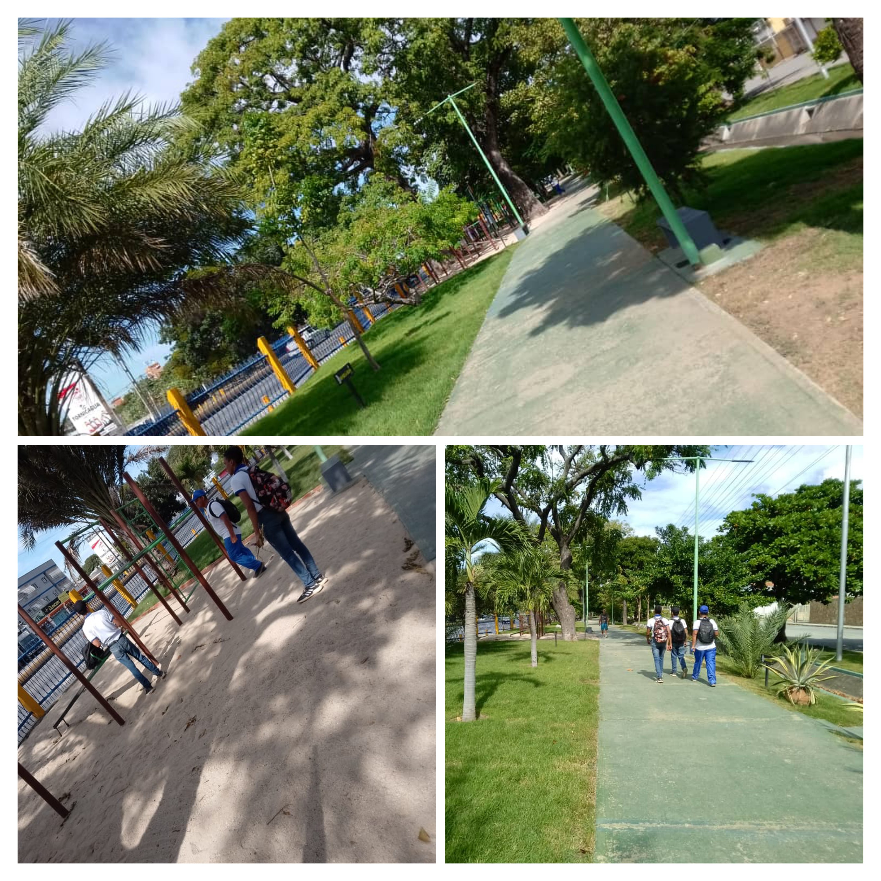 20251207_175938-COLLAGE.jpg