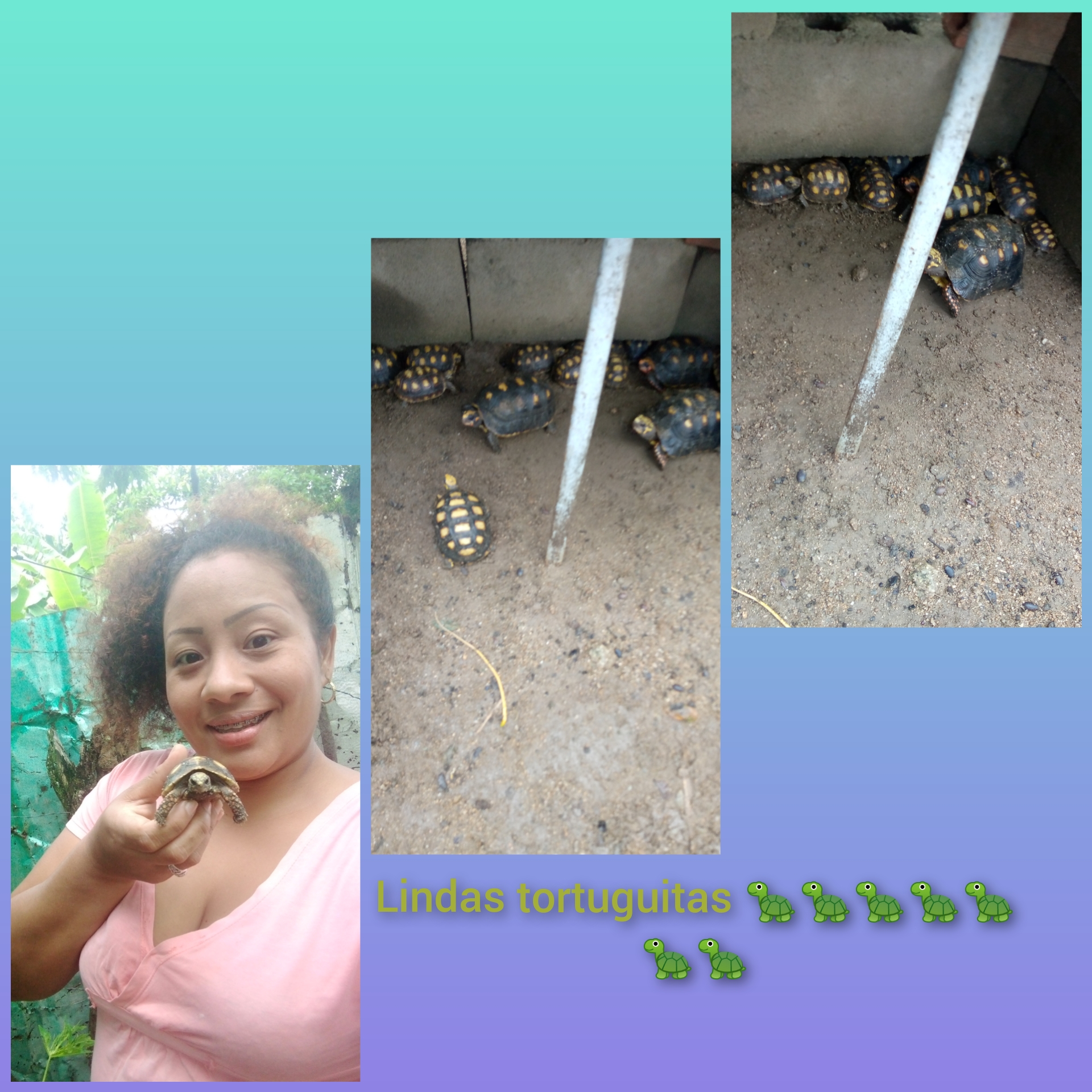 CollageMaker_20210907_163024285.jpg