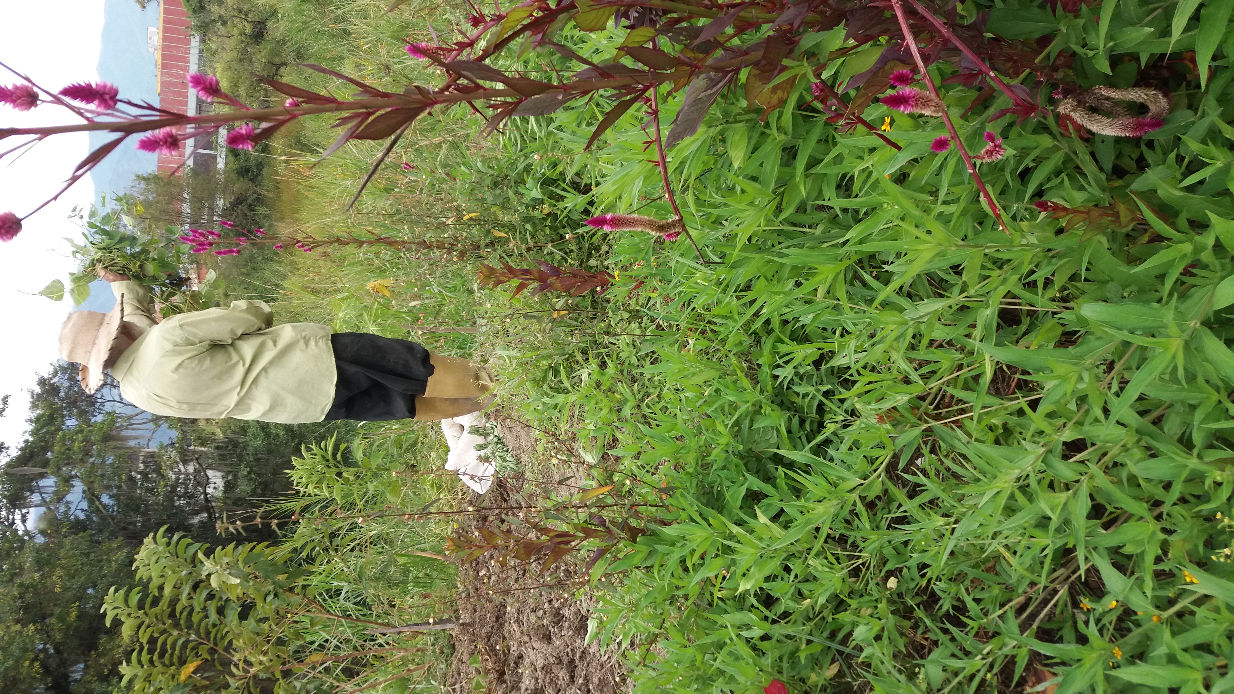 20201216_111504.jpg