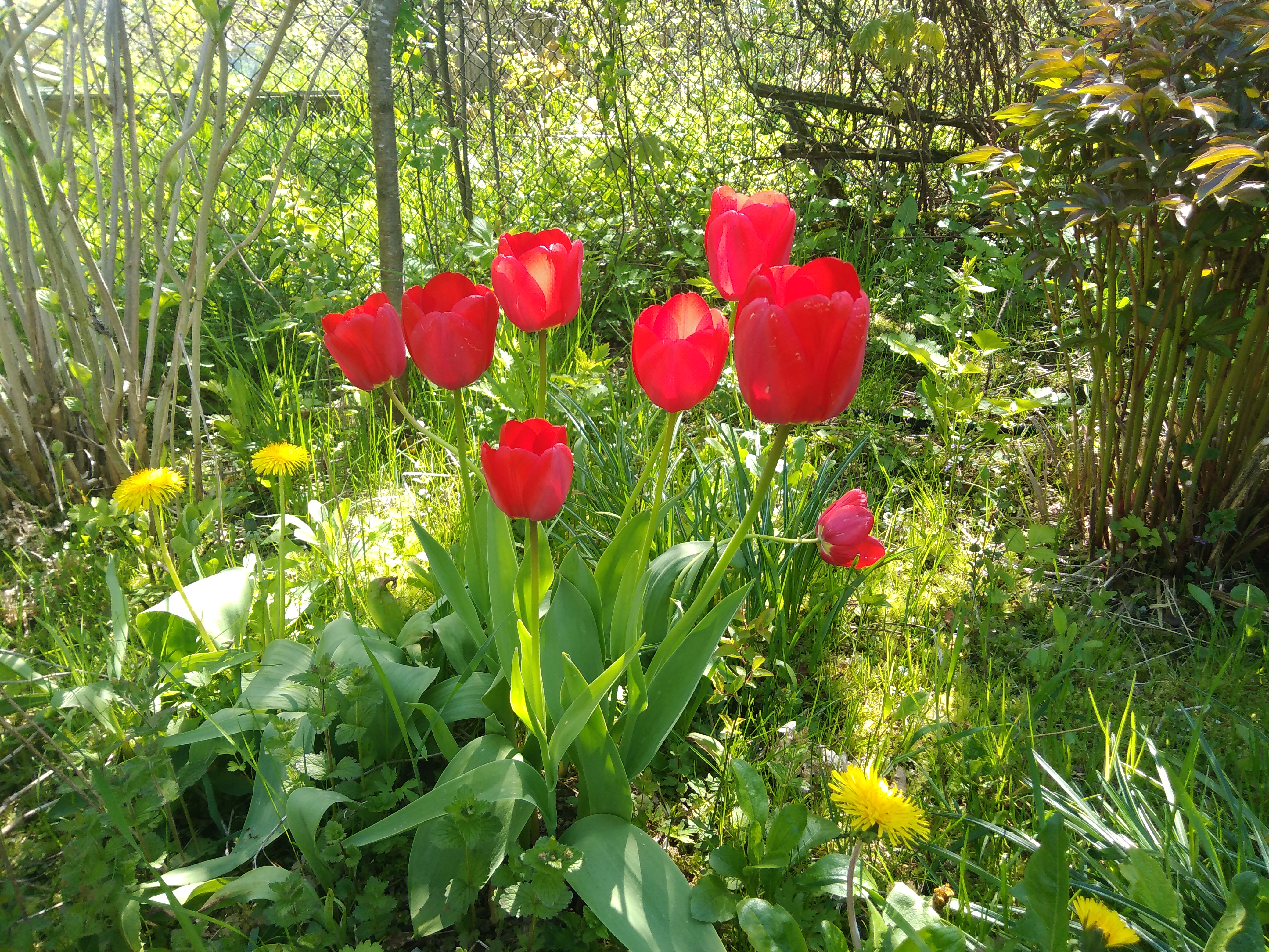 IMG_20230509_125645.jpg