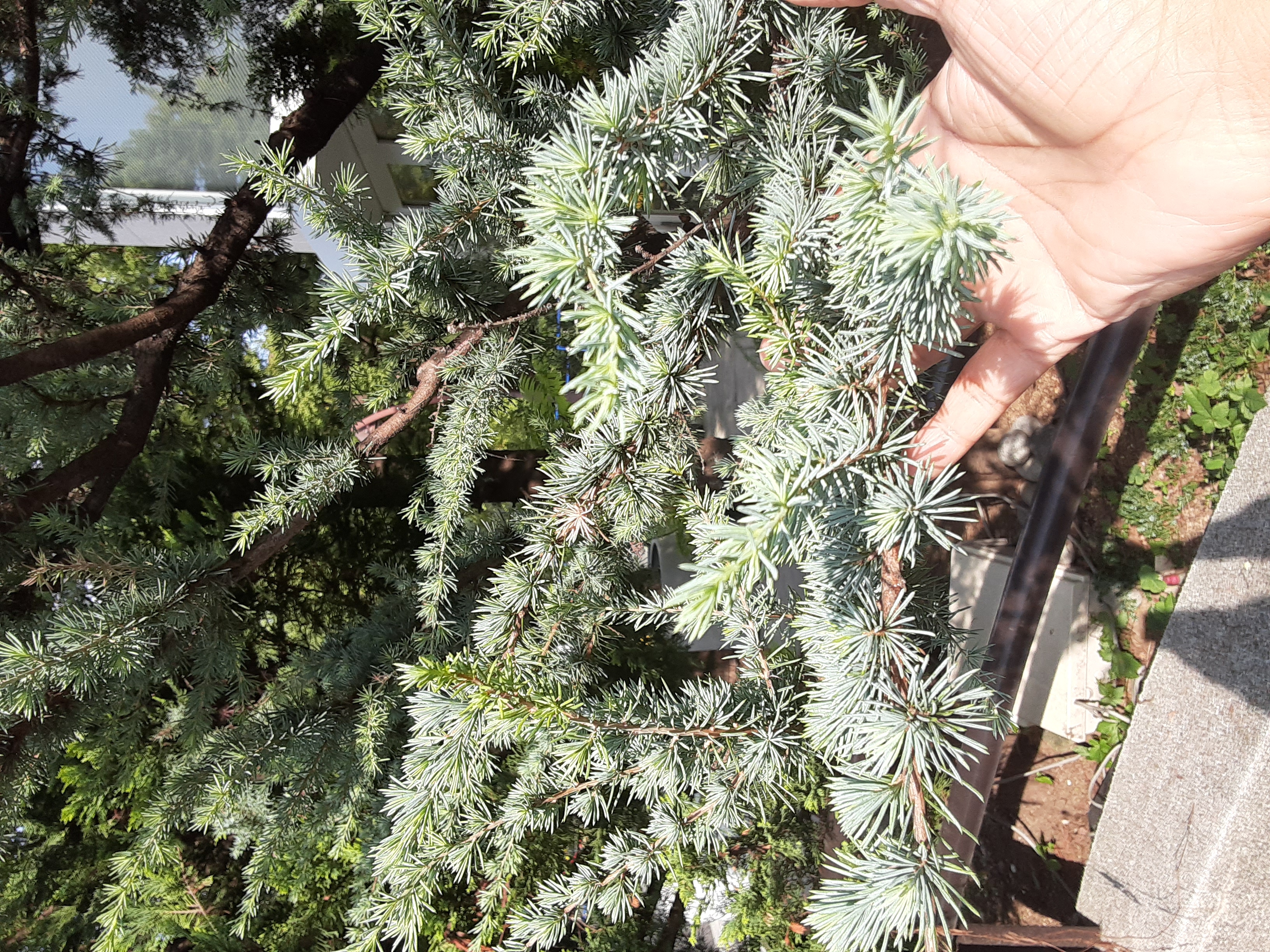 20241017_083736.jpg
