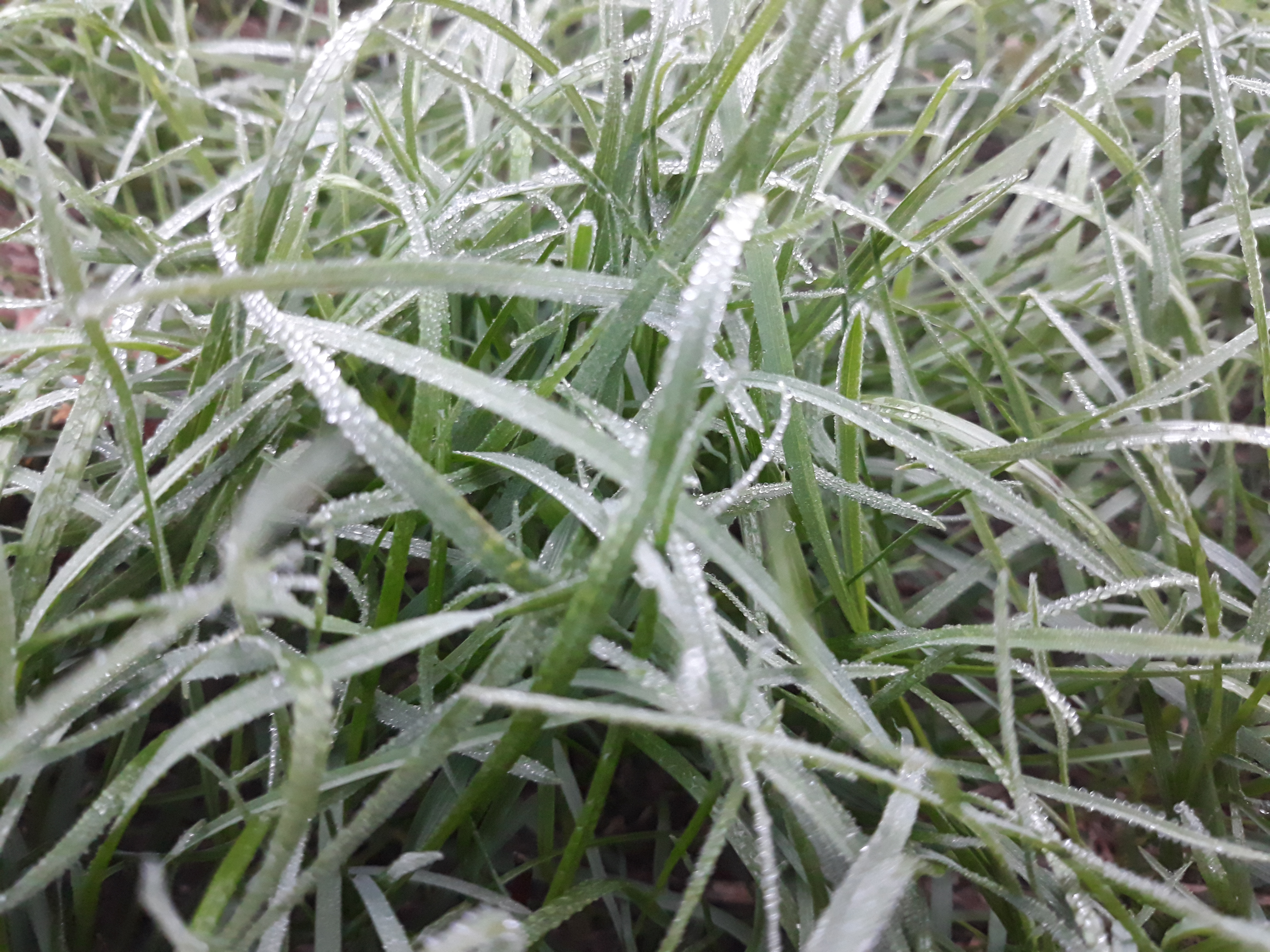 20201017_070436.jpg