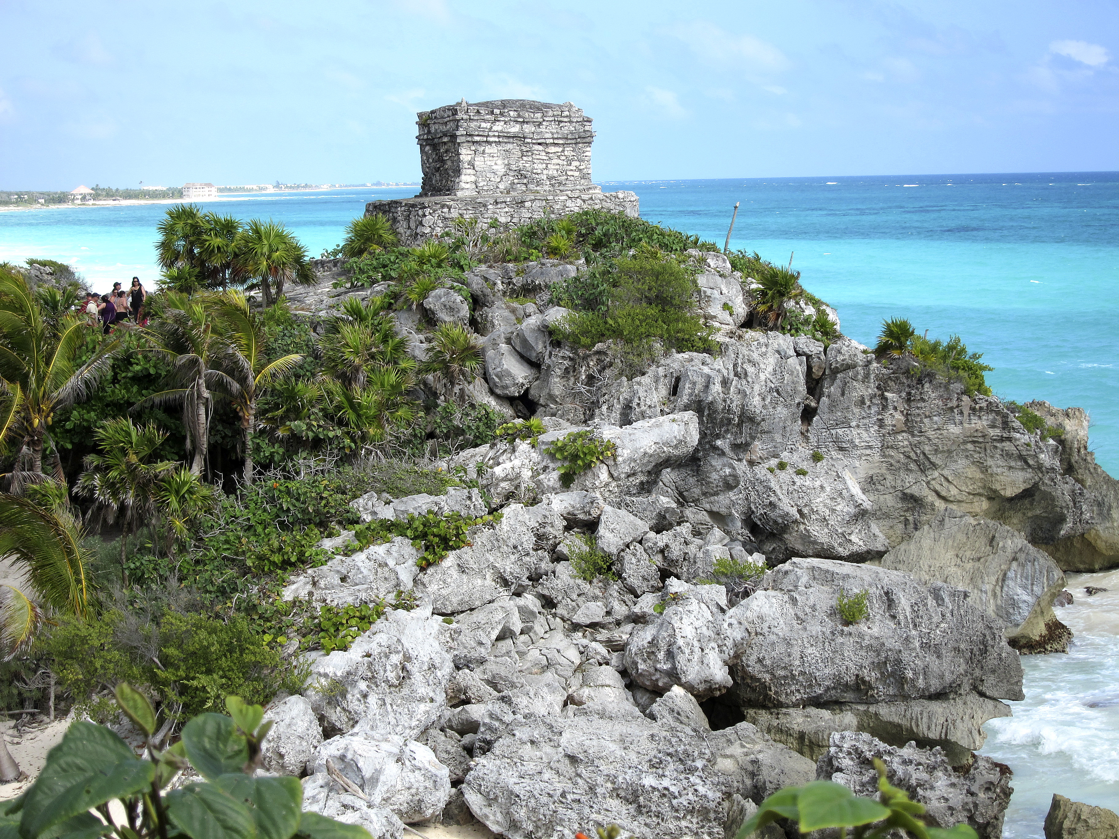 Beach Front Property.jpg