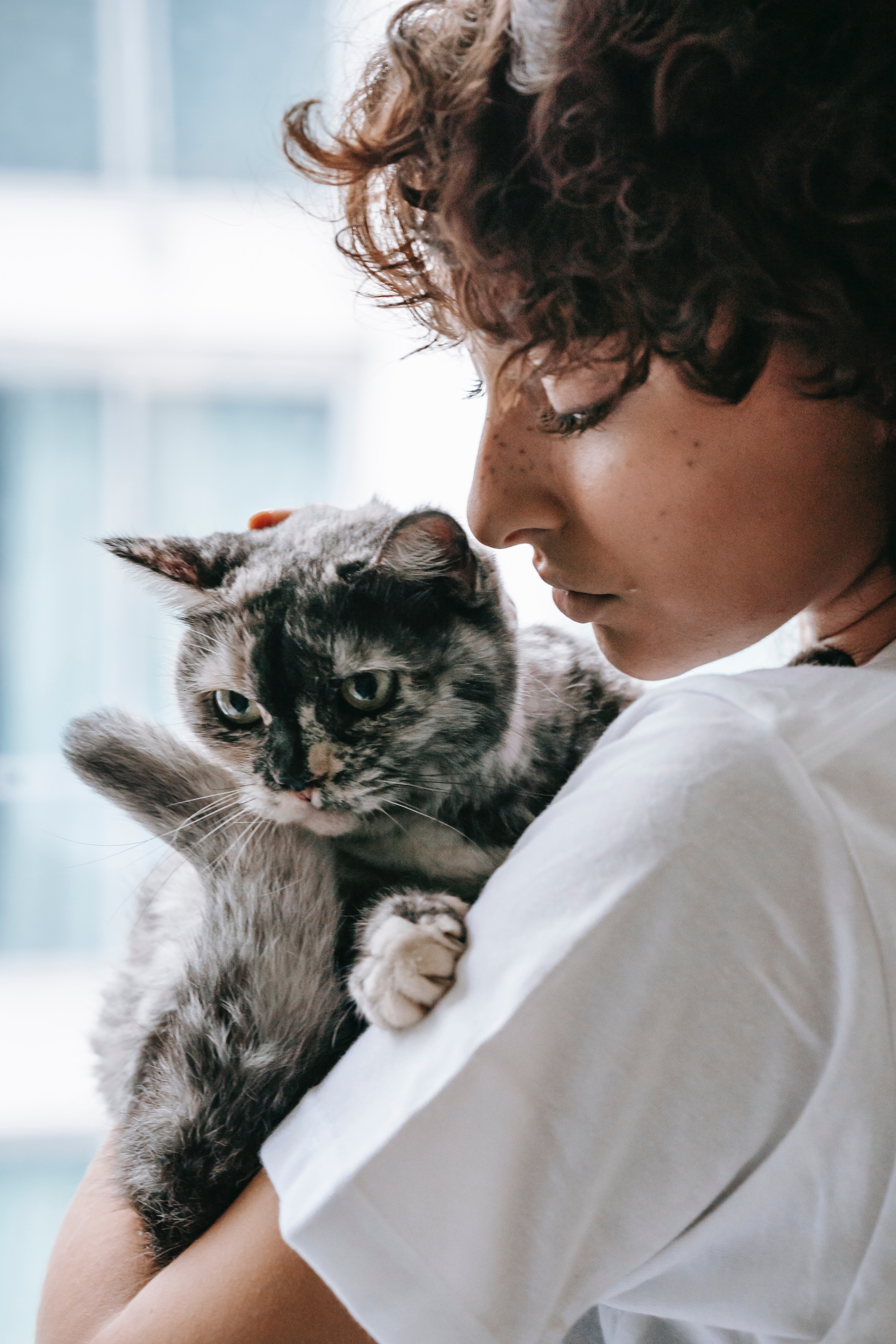 pexels-sam-lion-6001779.jpg