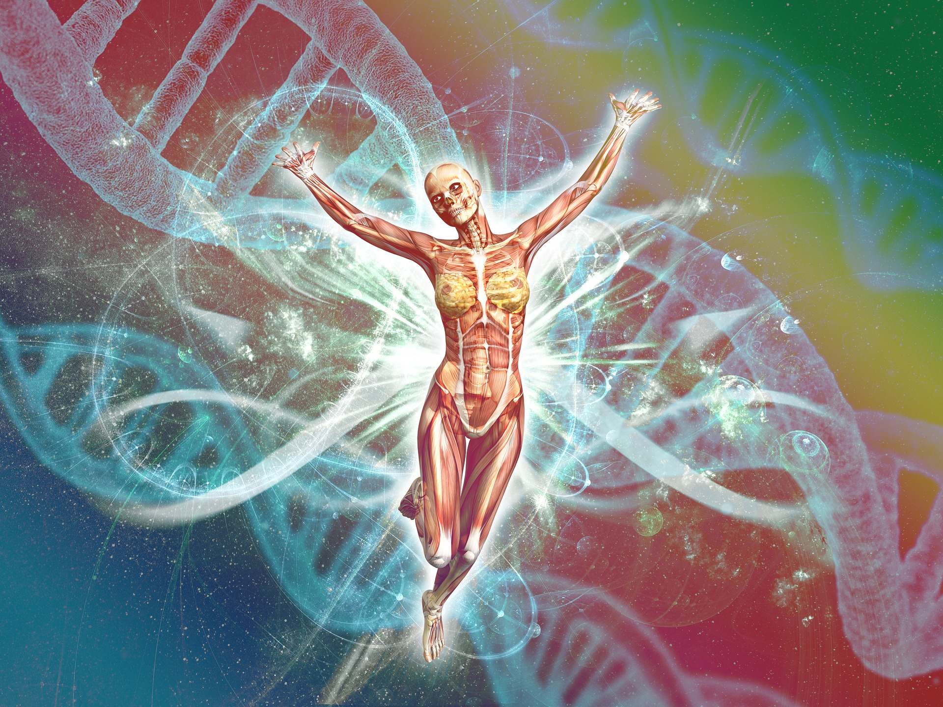 human-g1124f0937_1920.jpg