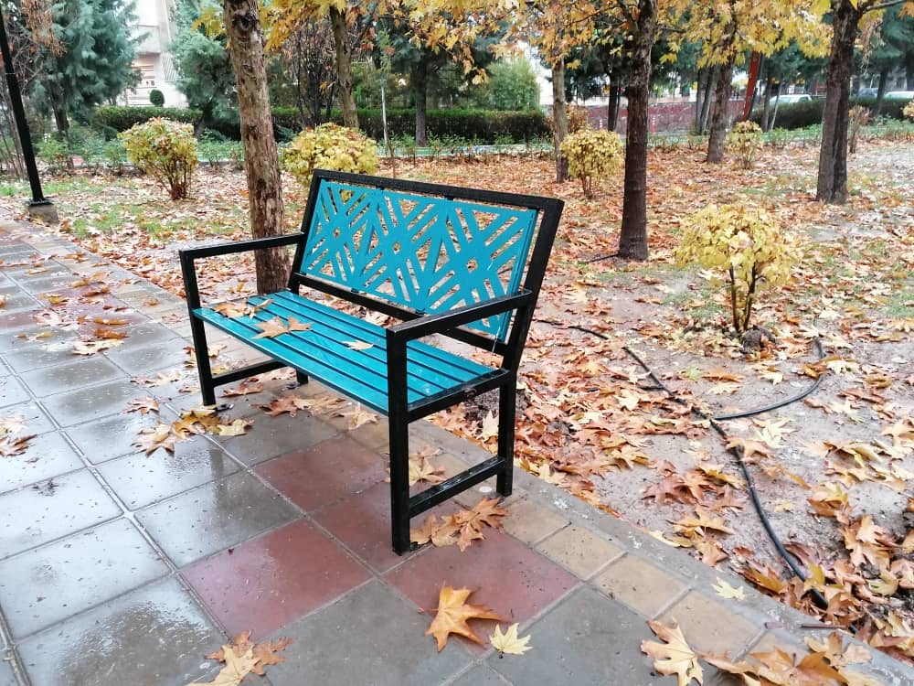 parkpicture56 (15).jpeg