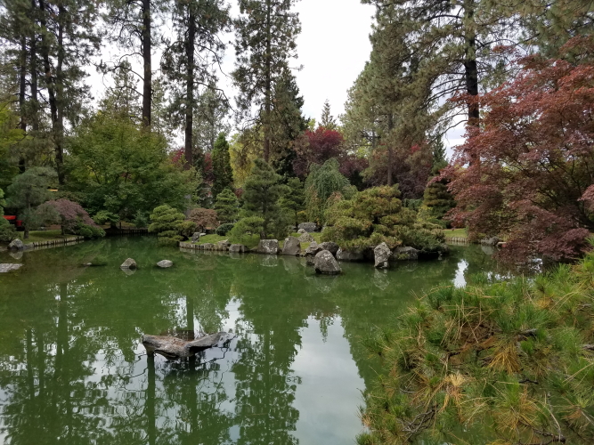 20181001_143655_9.jpg