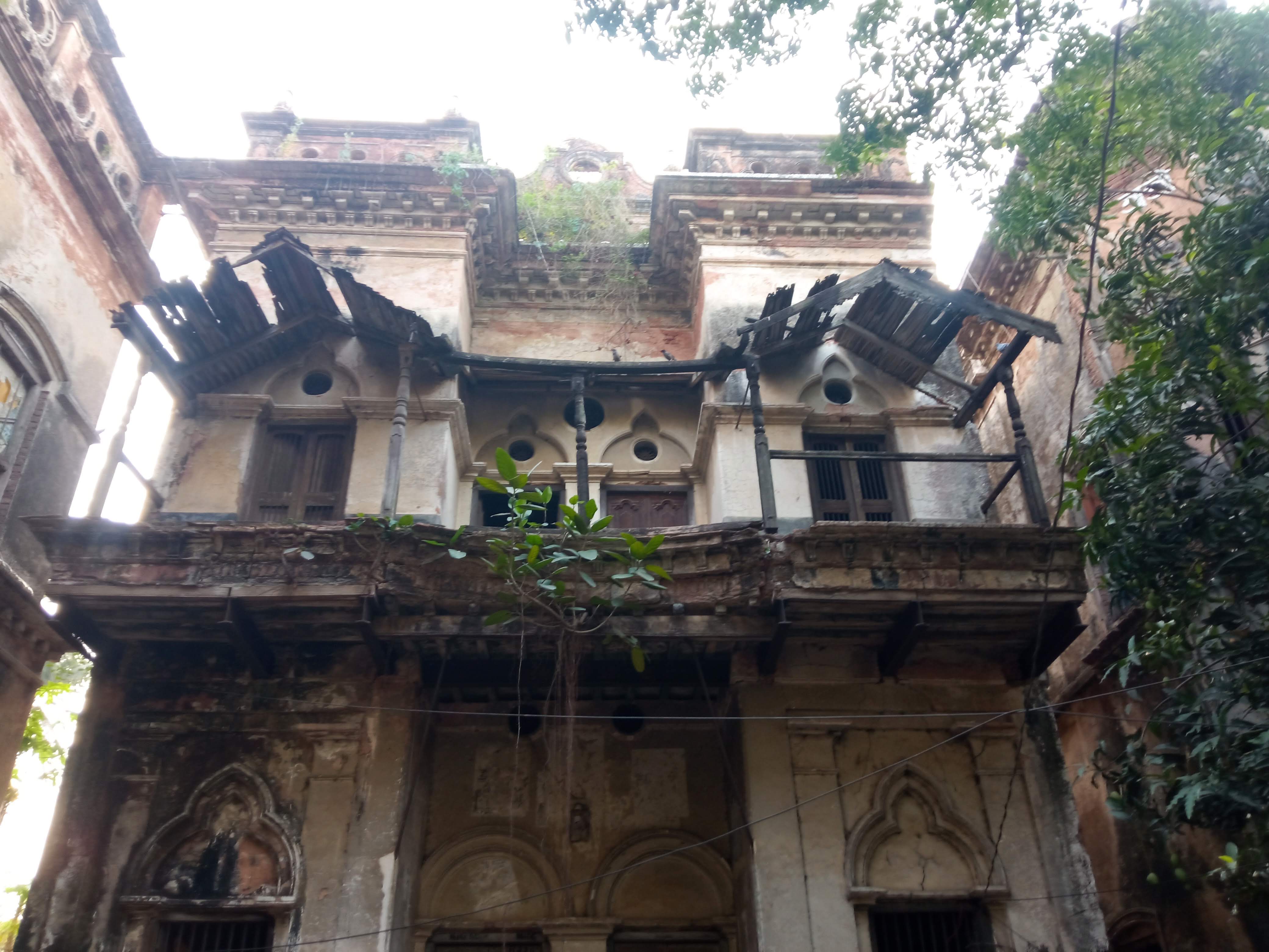 birulia (5).jpg
