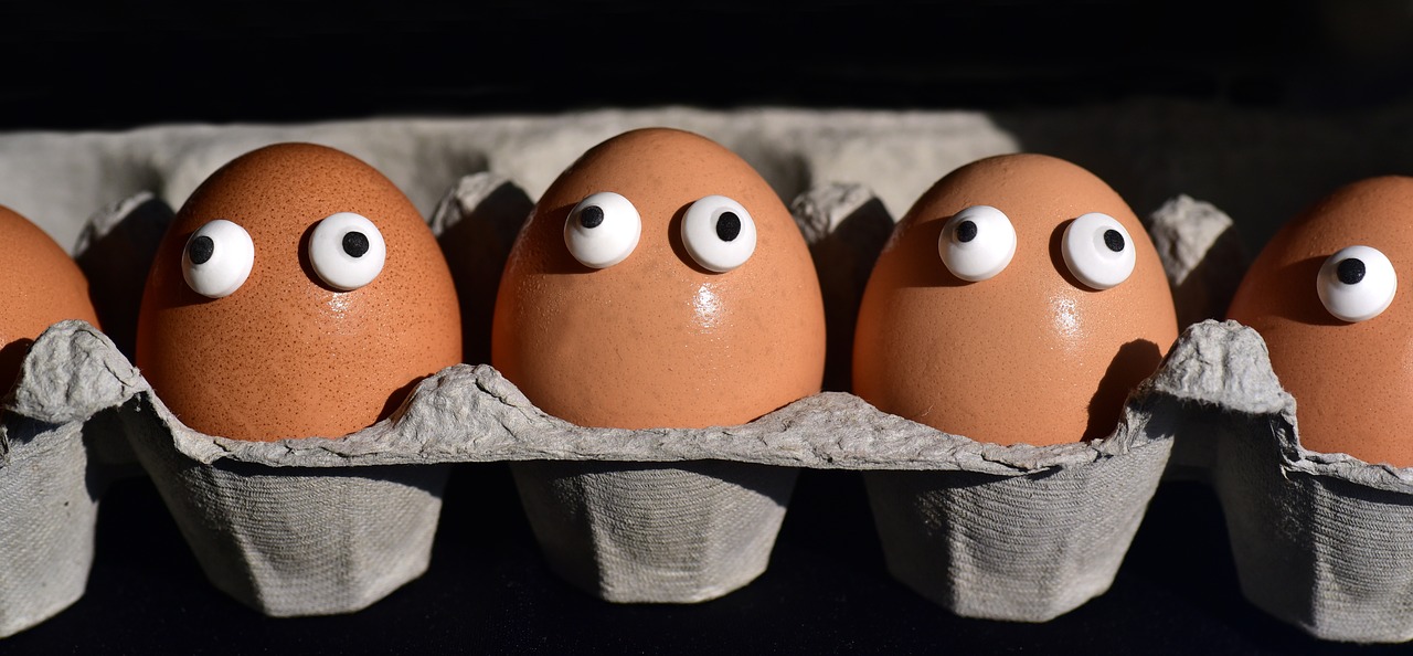 egg-3734143_1280.jpg