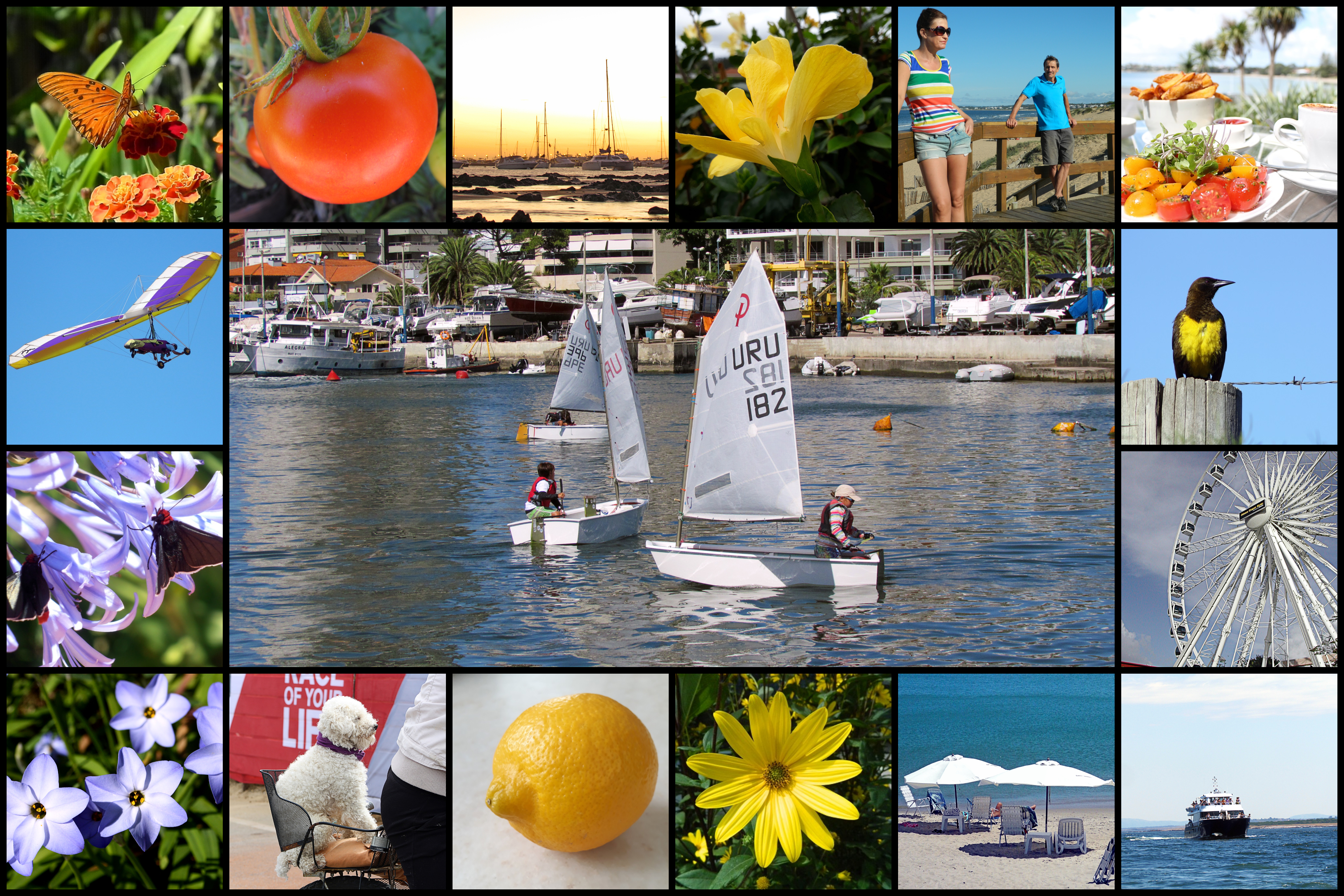 summer 1-collage (1).jpg