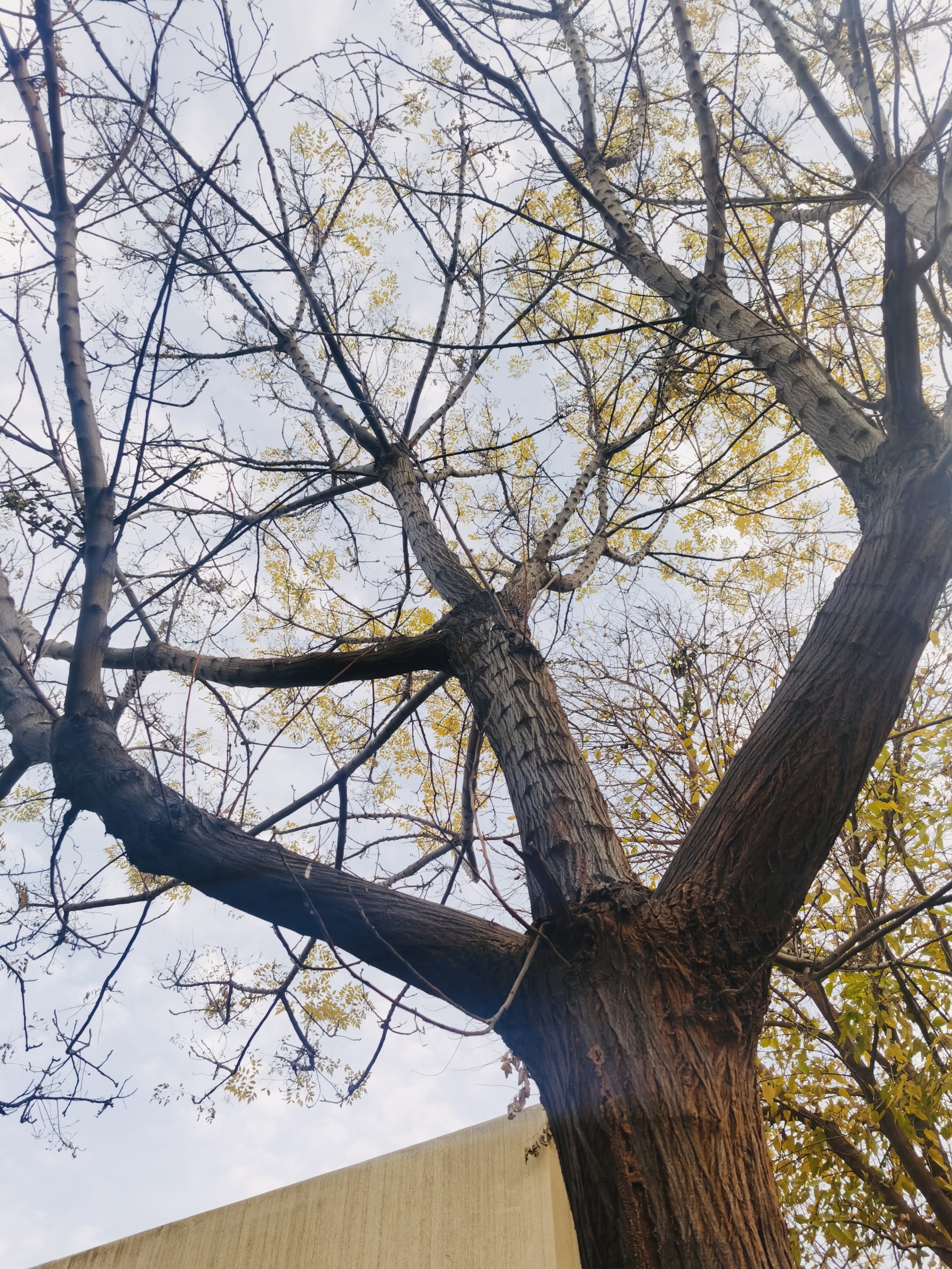 B0F4F235-142F-42D8-A7F9-86BFB852DF1C.jpeg