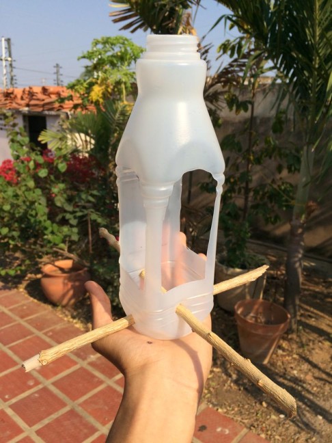 Strauzz-steemit-comedero-reciclaje-botella-aves-naturaleza-jardin-verano-nature.jpg