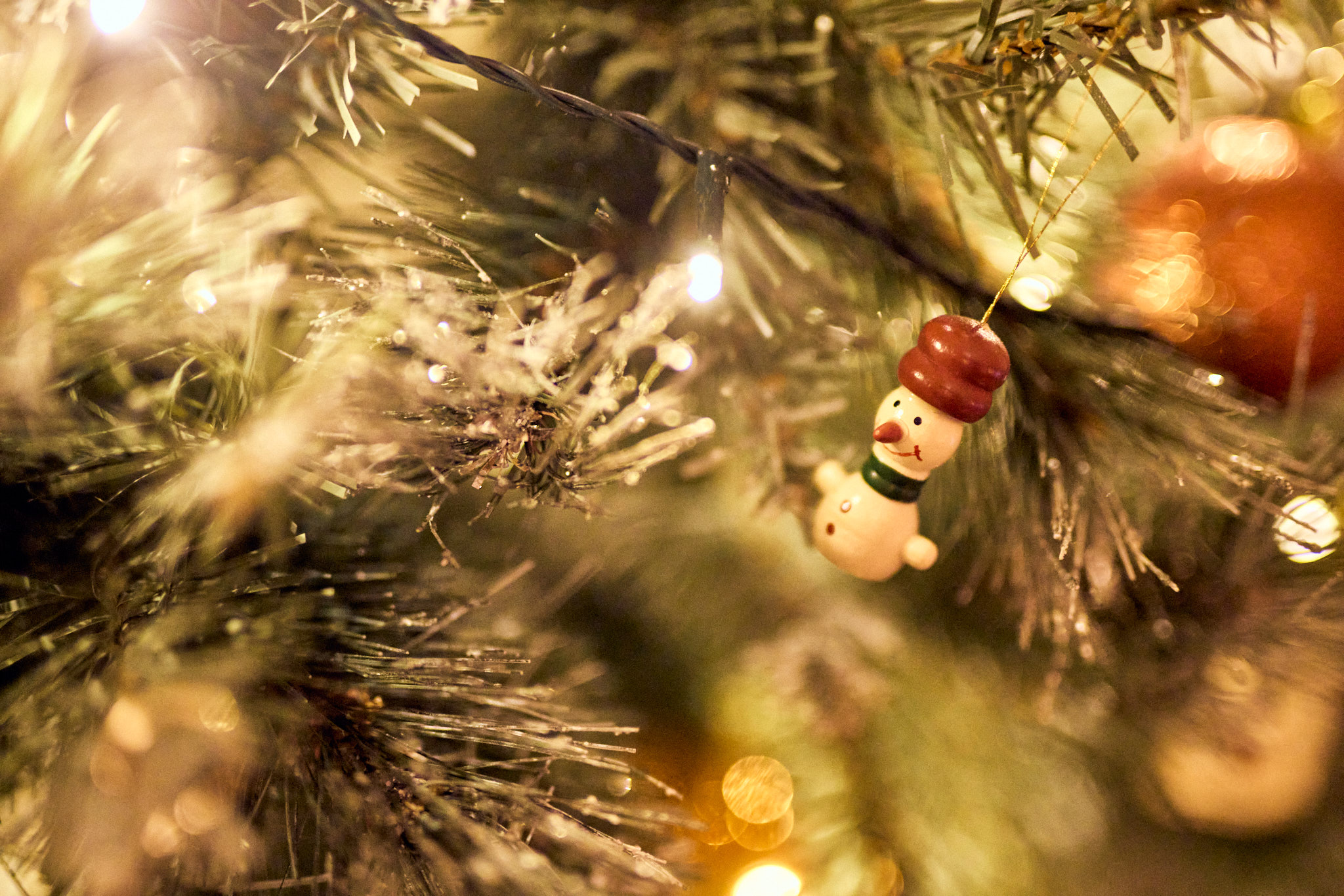 Tree 249.jpg