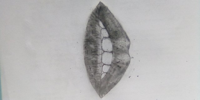 7258xSVeJbKkzXhyseBP4PYz11eBDT8sW2oR1a4vfVFS6JWb3mbwEASMQSZk7RnCKBHFo6ytZAyesneSpmQMaF2XR3CuiPZQi8AX4TCd6X76yZijiKbBtSJVM8NNfCpWEFkem65JUd6ht.jpg