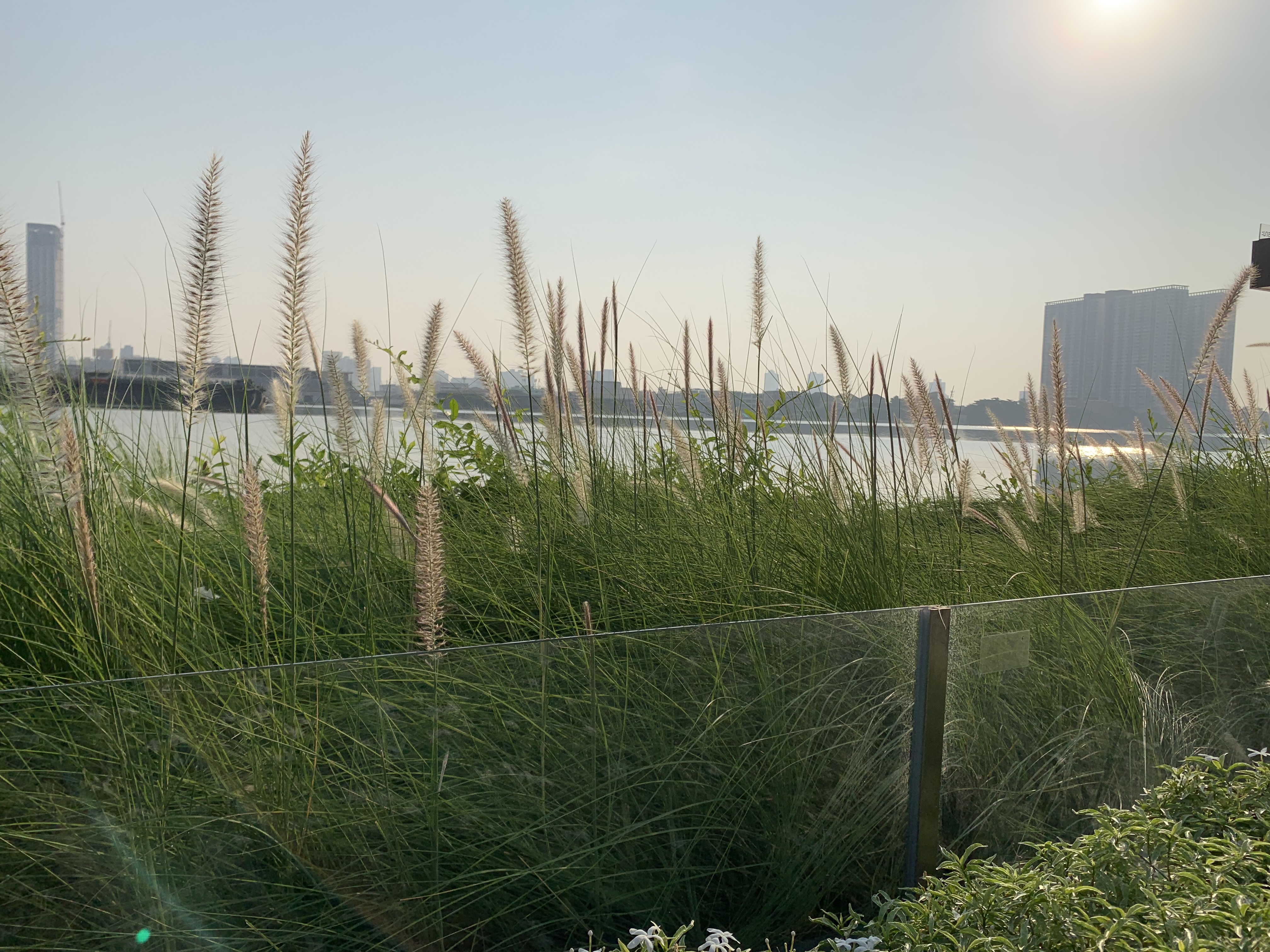 Chao Phraya River9.jpg