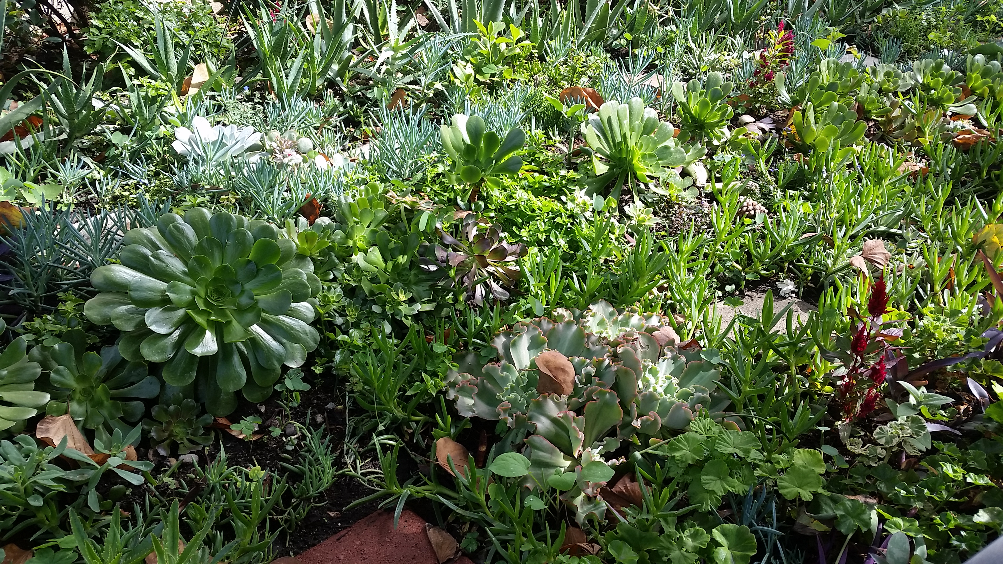 20181013_140753.jpg