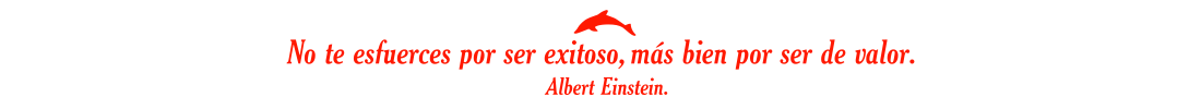 29101632_10214422573425629_1128369023411552256_n.png