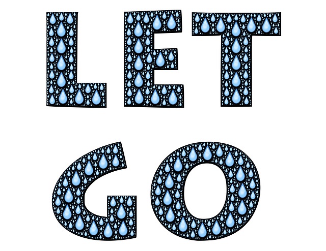 let-go-594531_640.jpg